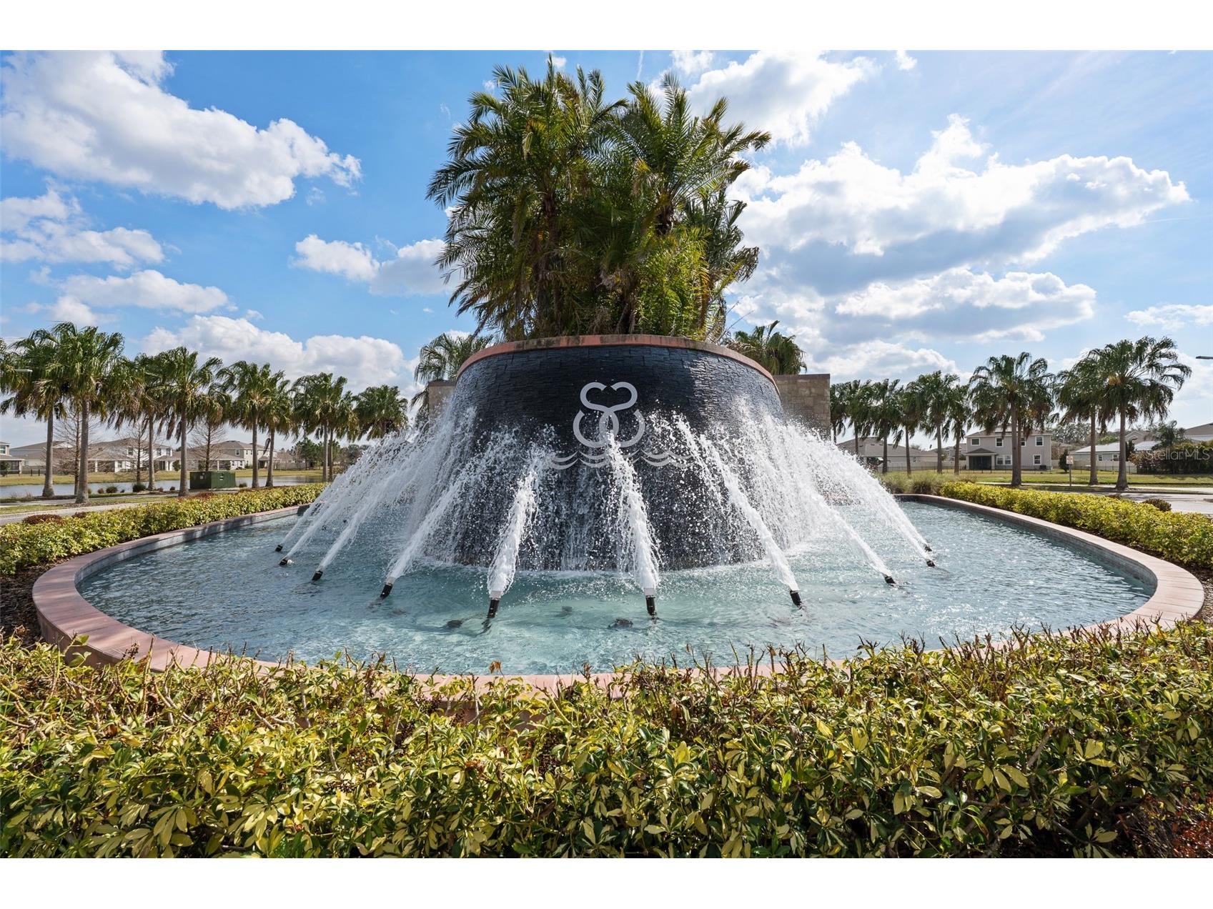 17029 Avon Dive Lane Wimauma FL 33598 TB8481901 image32