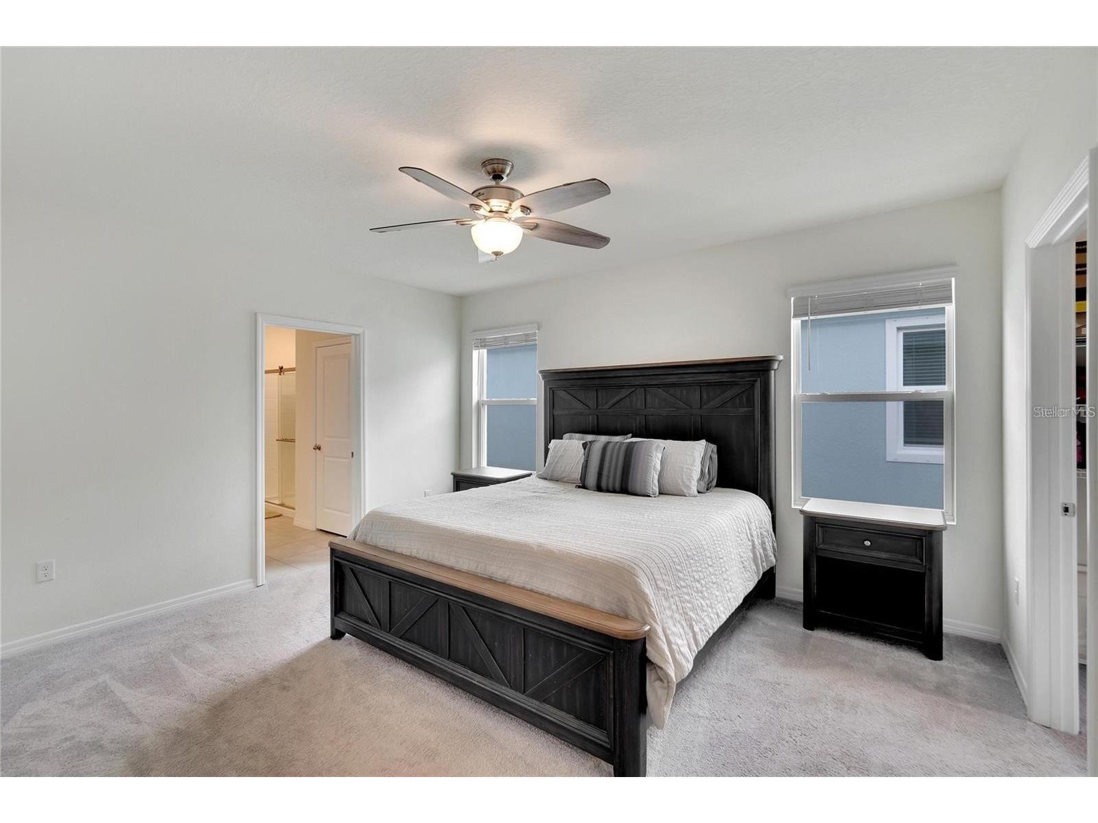 17029 Blister Wing Drive Wimauma FL 33598 TB8513590 image16