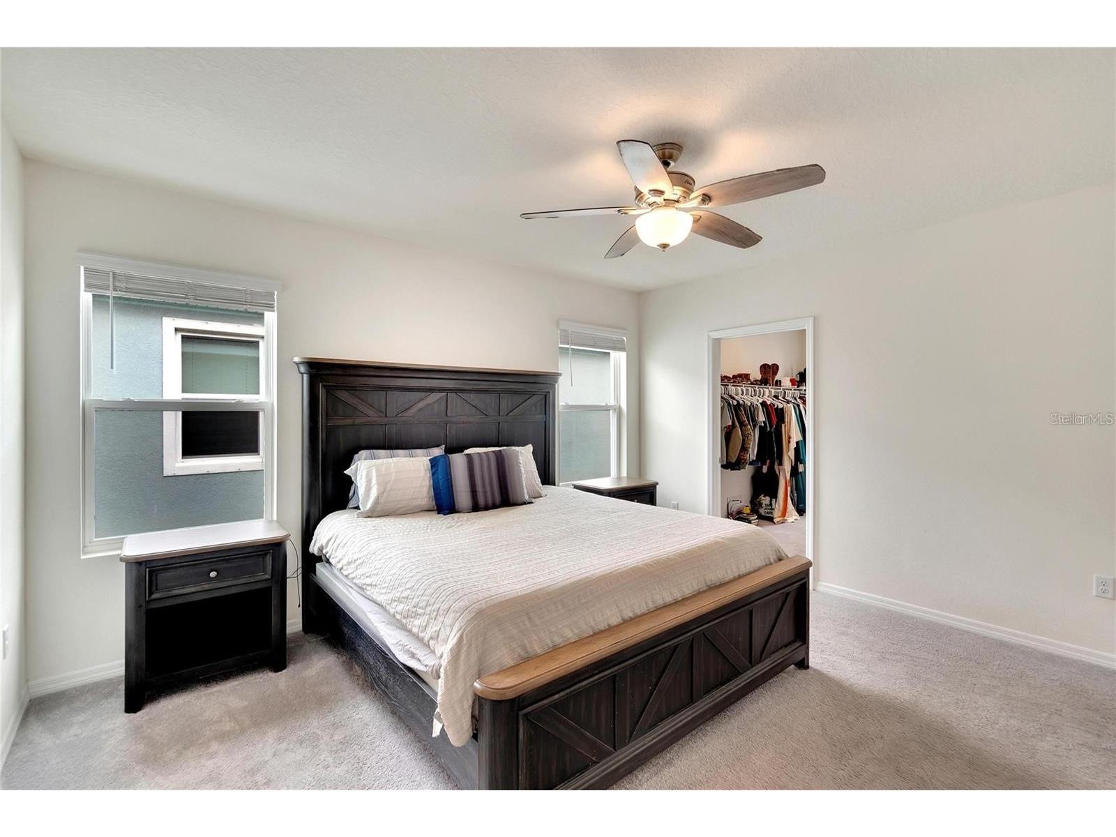17029 Blister Wing Drive Wimauma FL 33598 TB8513590 image17