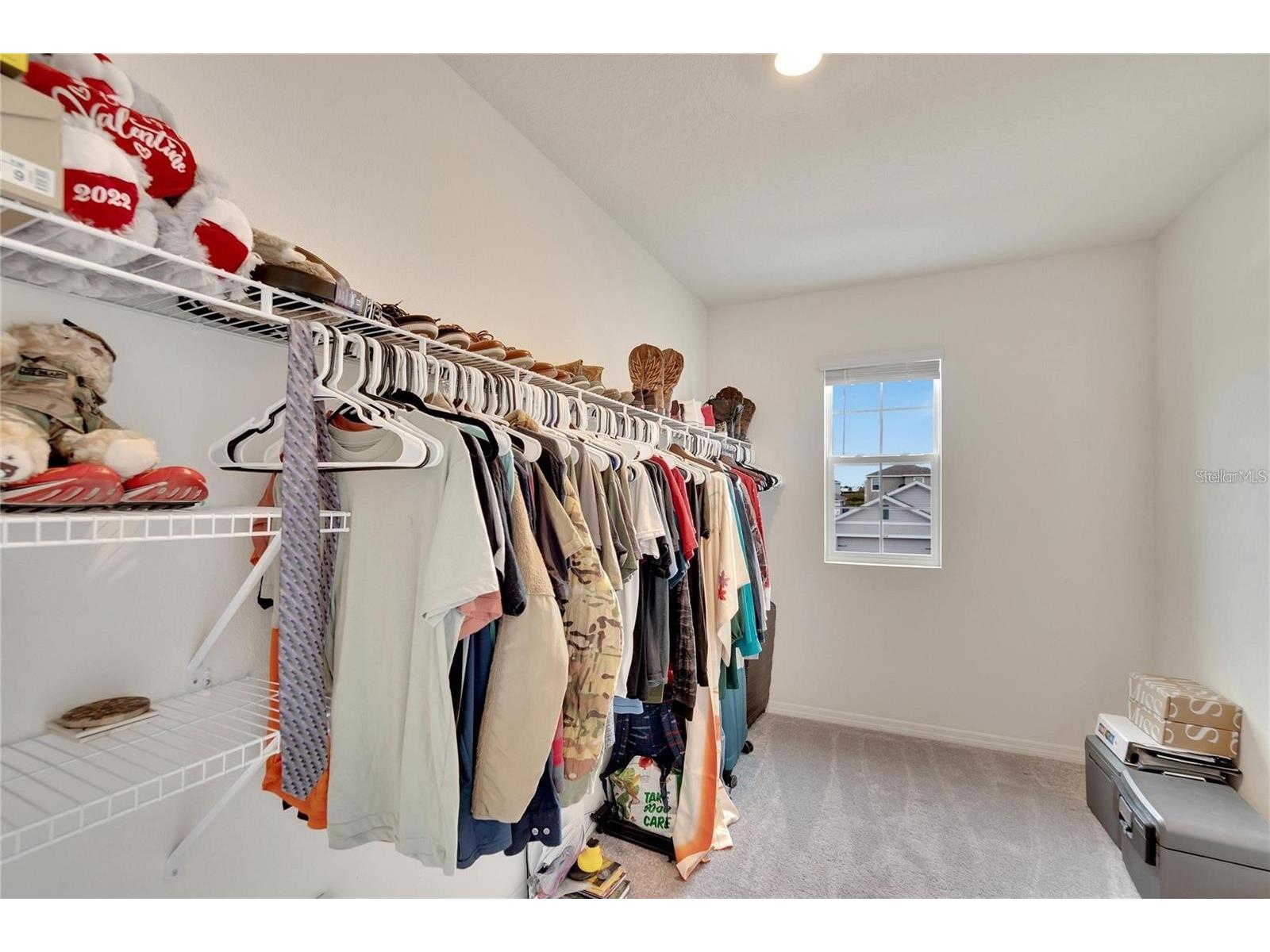 17029 Blister Wing Drive Wimauma FL 33598 TB8513590 image18