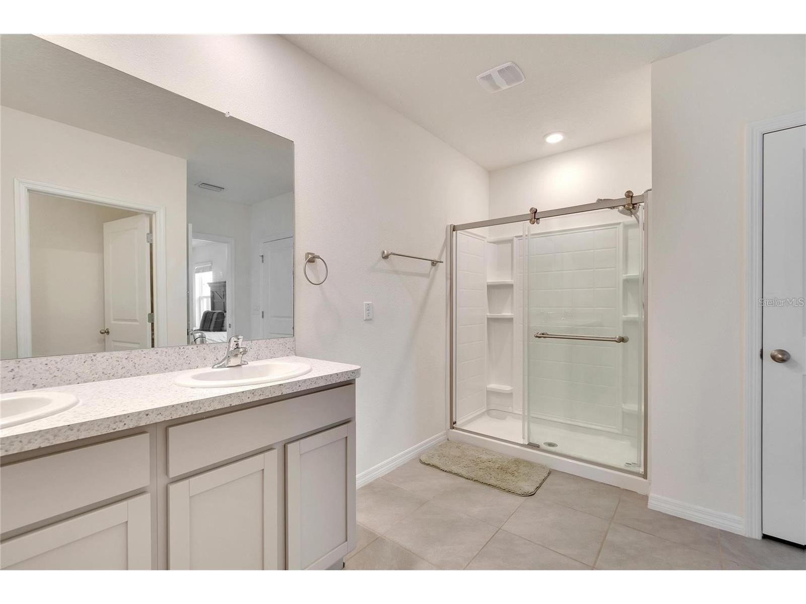 17029 Blister Wing Drive Wimauma FL 33598 TB8513590 image19