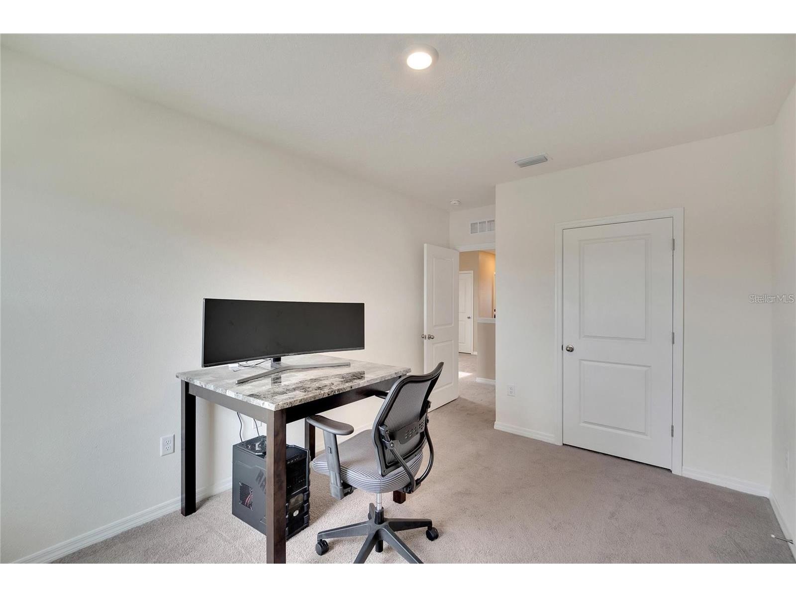 17029 Blister Wing Drive Wimauma FL 33598 TB8513590 image25