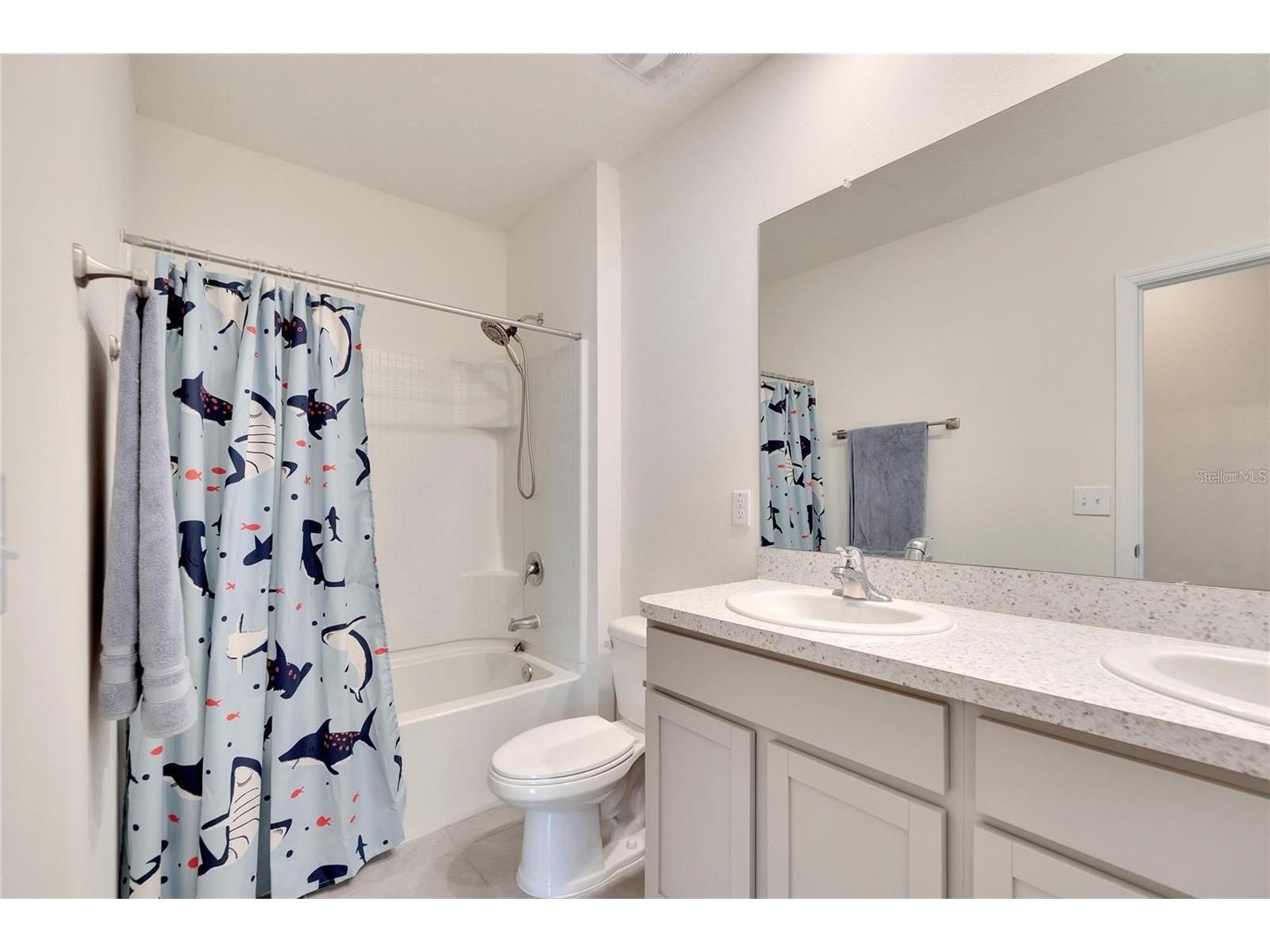 17029 Blister Wing Drive Wimauma FL 33598 TB8513590 image28
