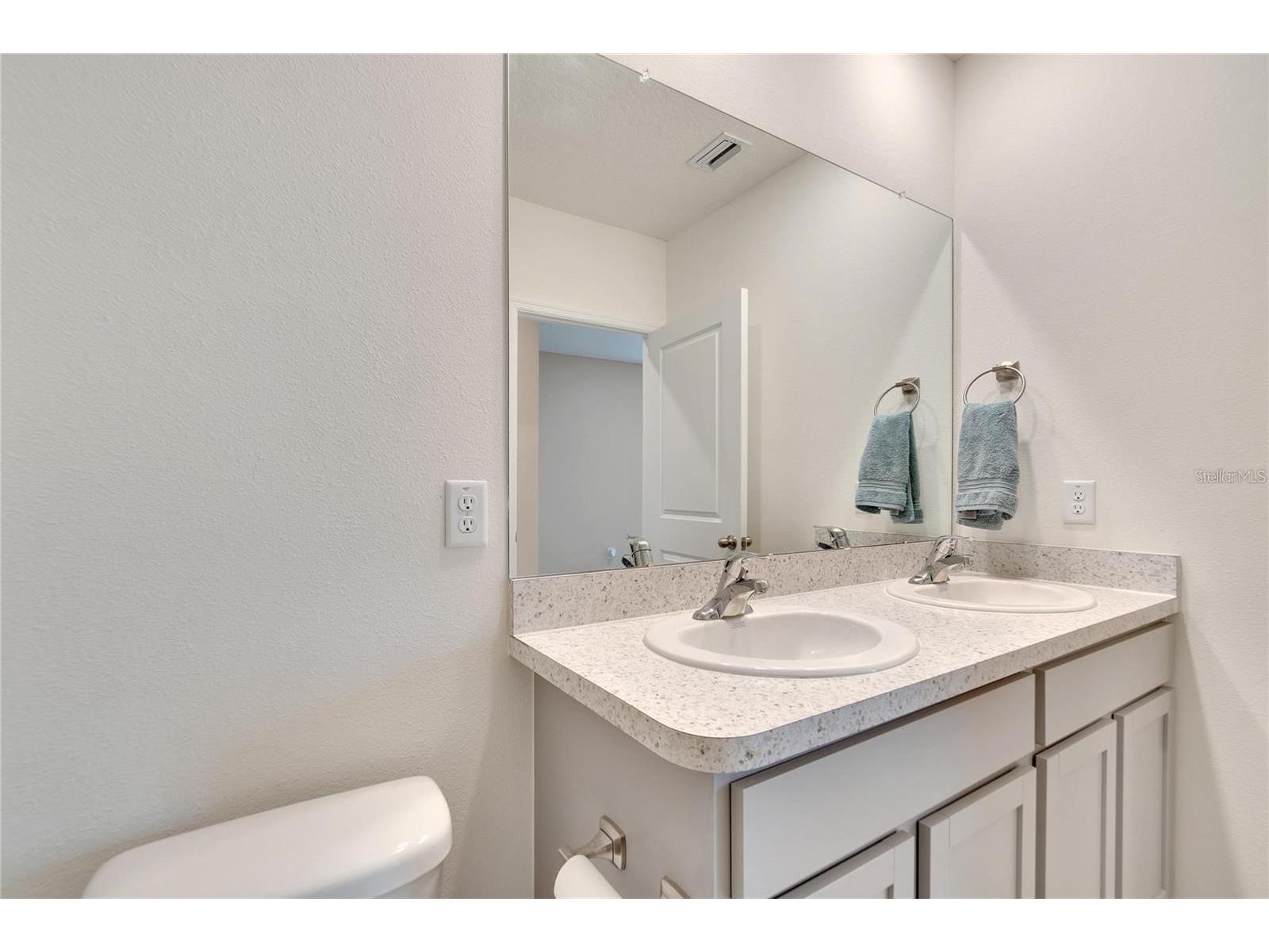 17029 Blister Wing Drive Wimauma FL 33598 TB8513590 image29