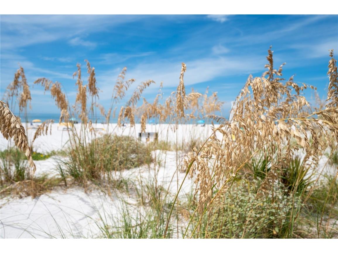 1703 12th Street S Saint Petersburg FL 33705 C7515339 image69