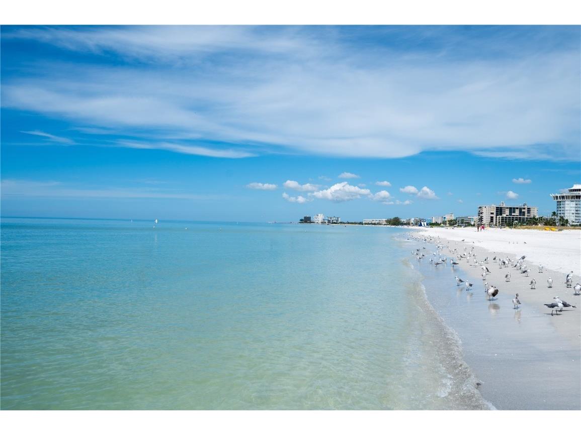 1703 12th Street S Saint Petersburg FL 33705 C7515339 image71