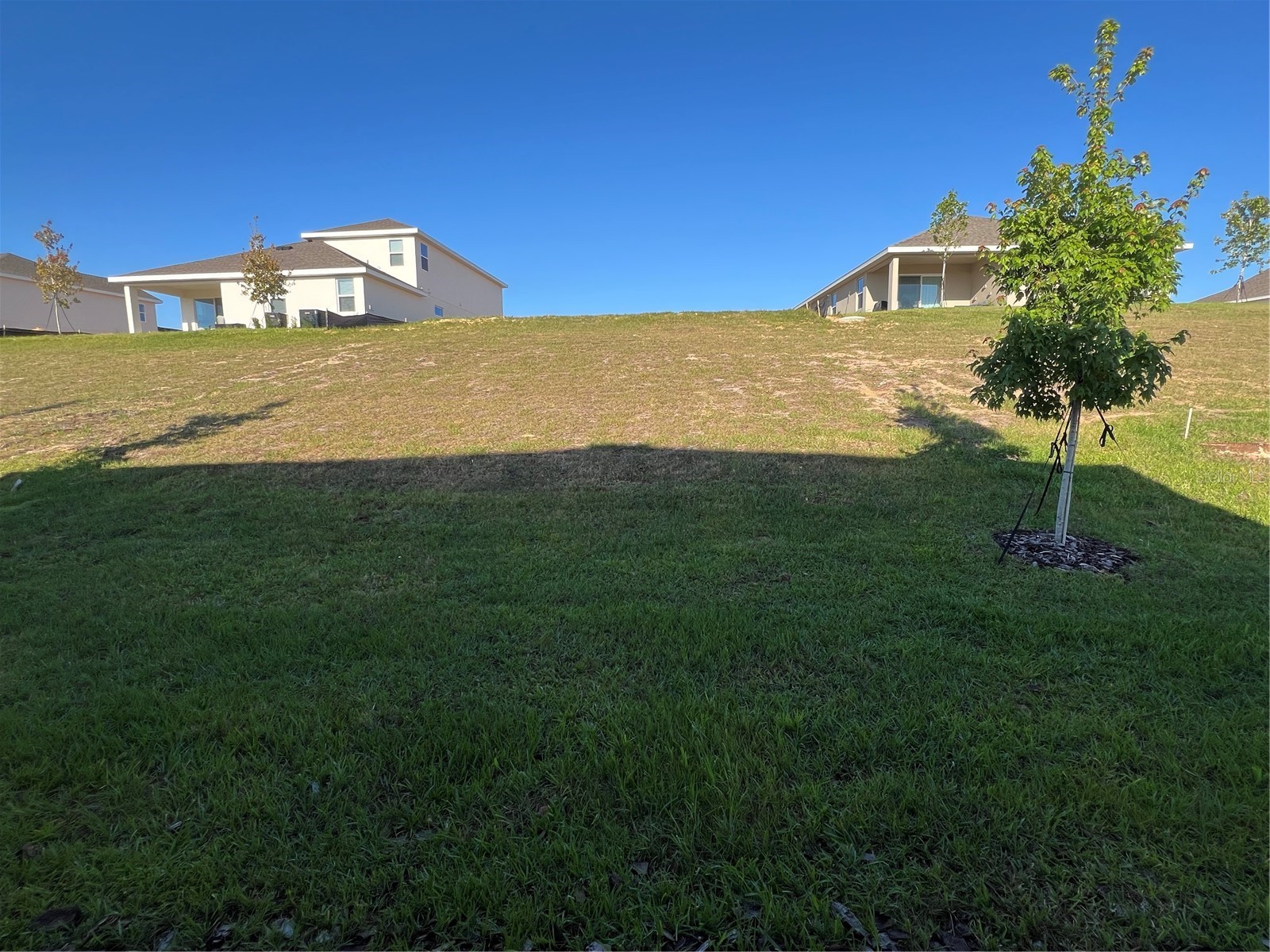 1703 Cadence Street Minneola FL 34715 G5111571 image26