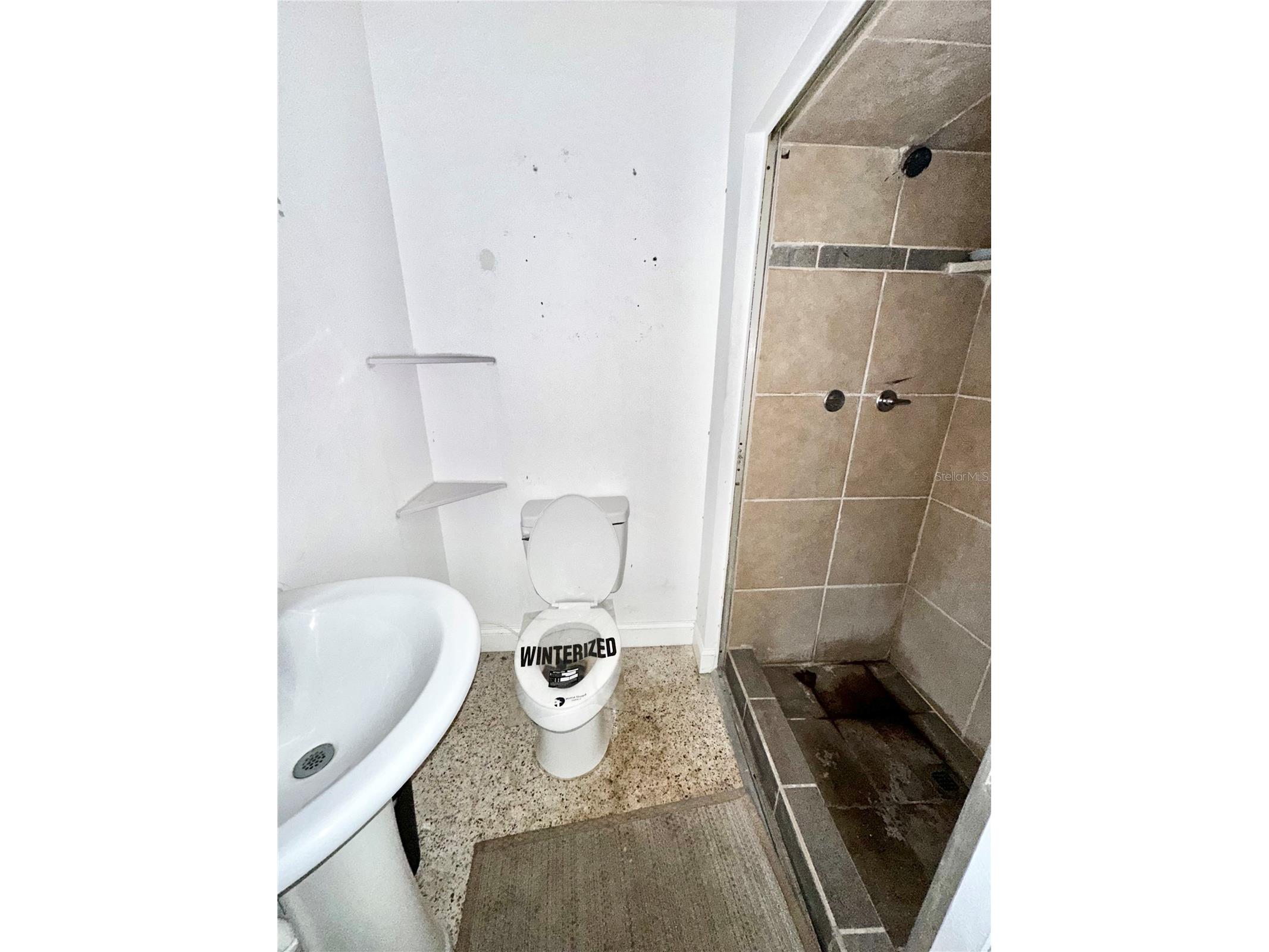 1703 Center Road Terra Ceia FL 34250 TB8514618 image17