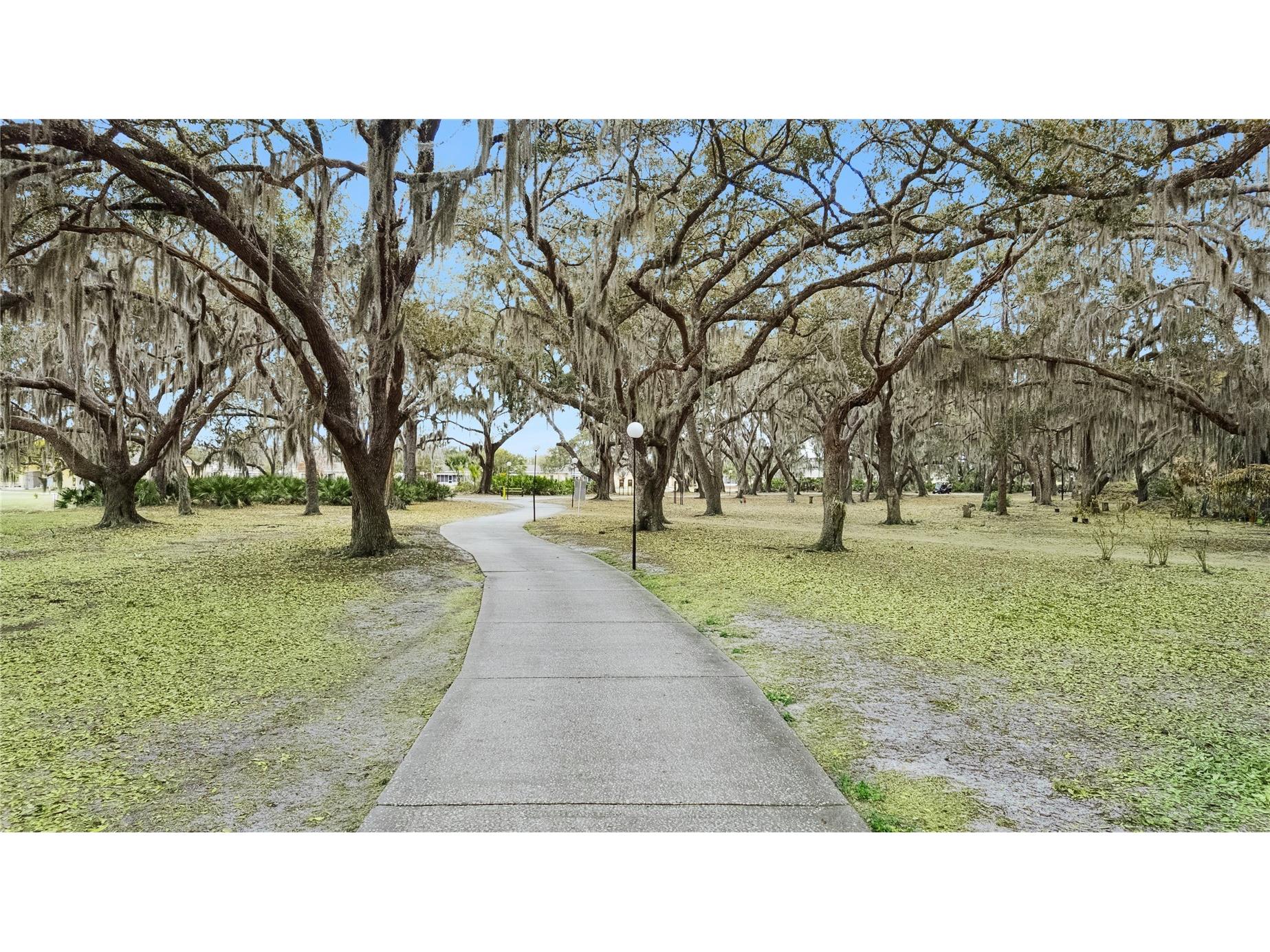 1703 Club Circle Lakeshore FL 33854 L4959671 image41