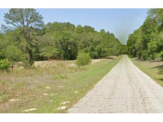 1703 E Carson Road Dunnellon FL 34434 O6227613 image1