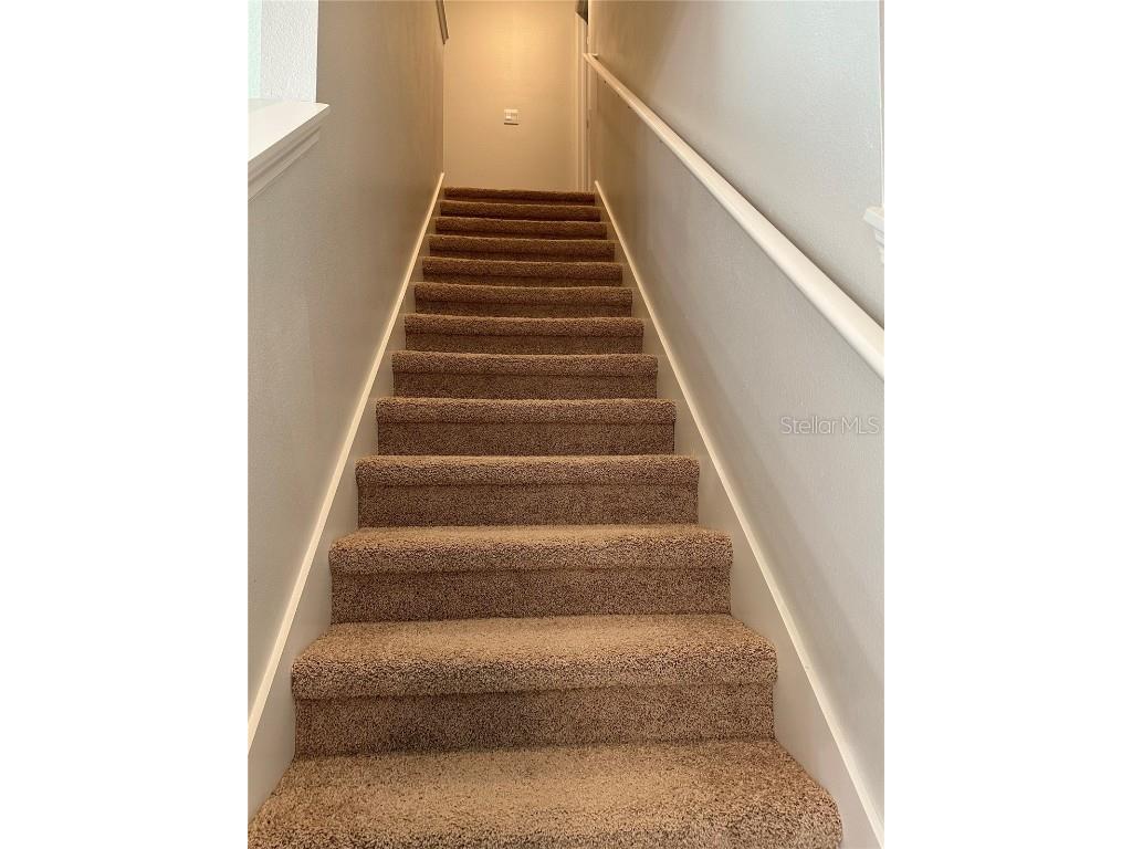 1703 Johnson Pointe Drive Plant City FL 33566 TB8376564 image15