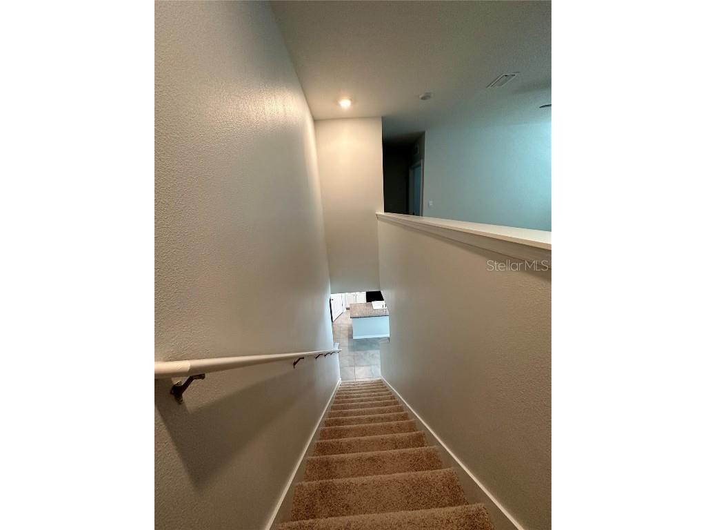 1703 Johnson Pointe Drive Plant City FL 33566 TB8376564 image37