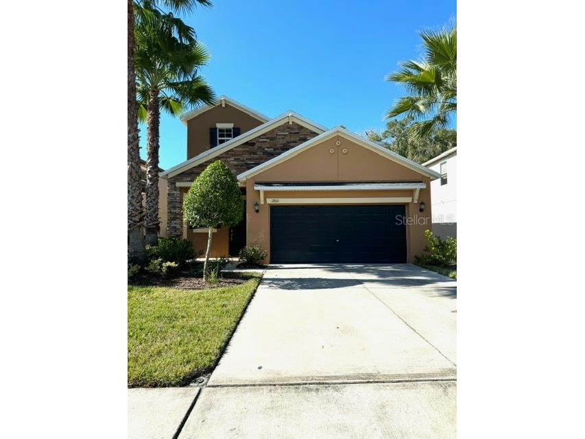 1703 Ludington Avenue Wesley Chapel FL 33543 T3485492 image1