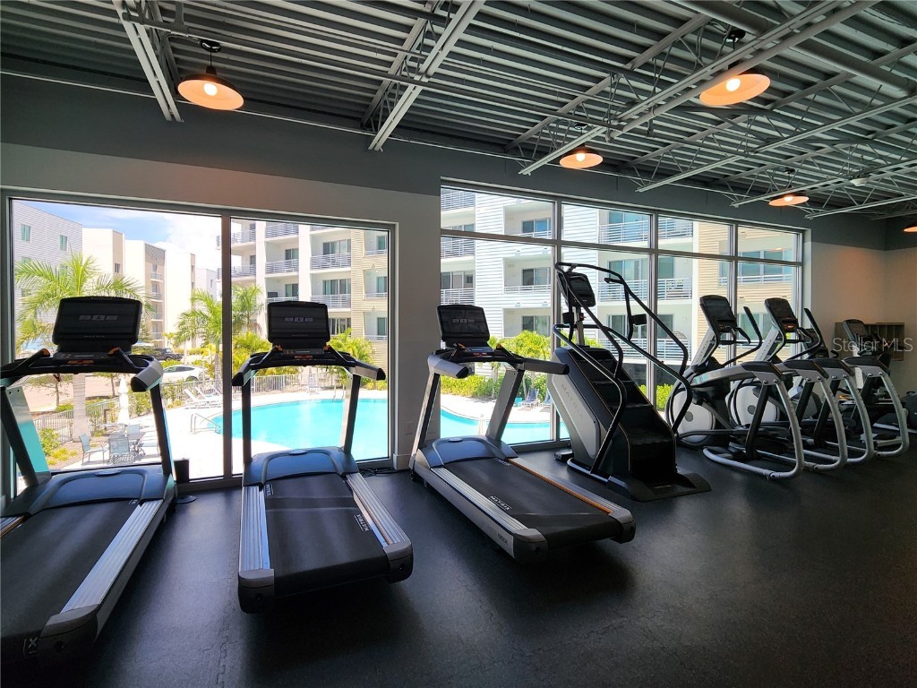 1703 N Tamiami Trail #507 Sarasota FL 34234 TB8417689 image5