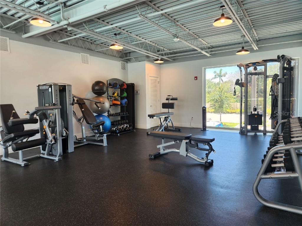 1703 N Tamiami Trail #507 Sarasota FL 34234 TB8417689 image6