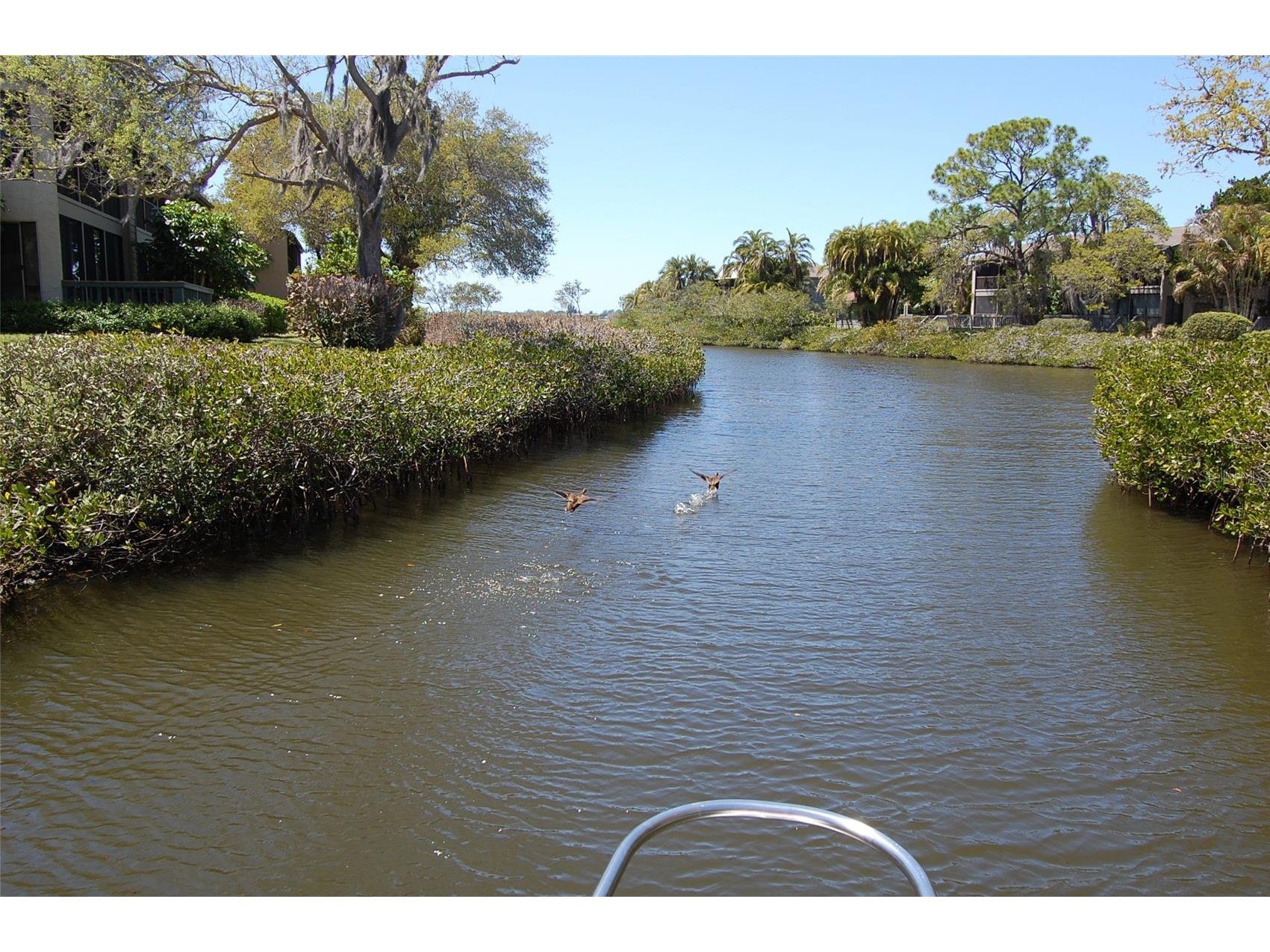 1703 Pelican Cove Road #GL356 Sarasota FL 34231 A4693493 image33