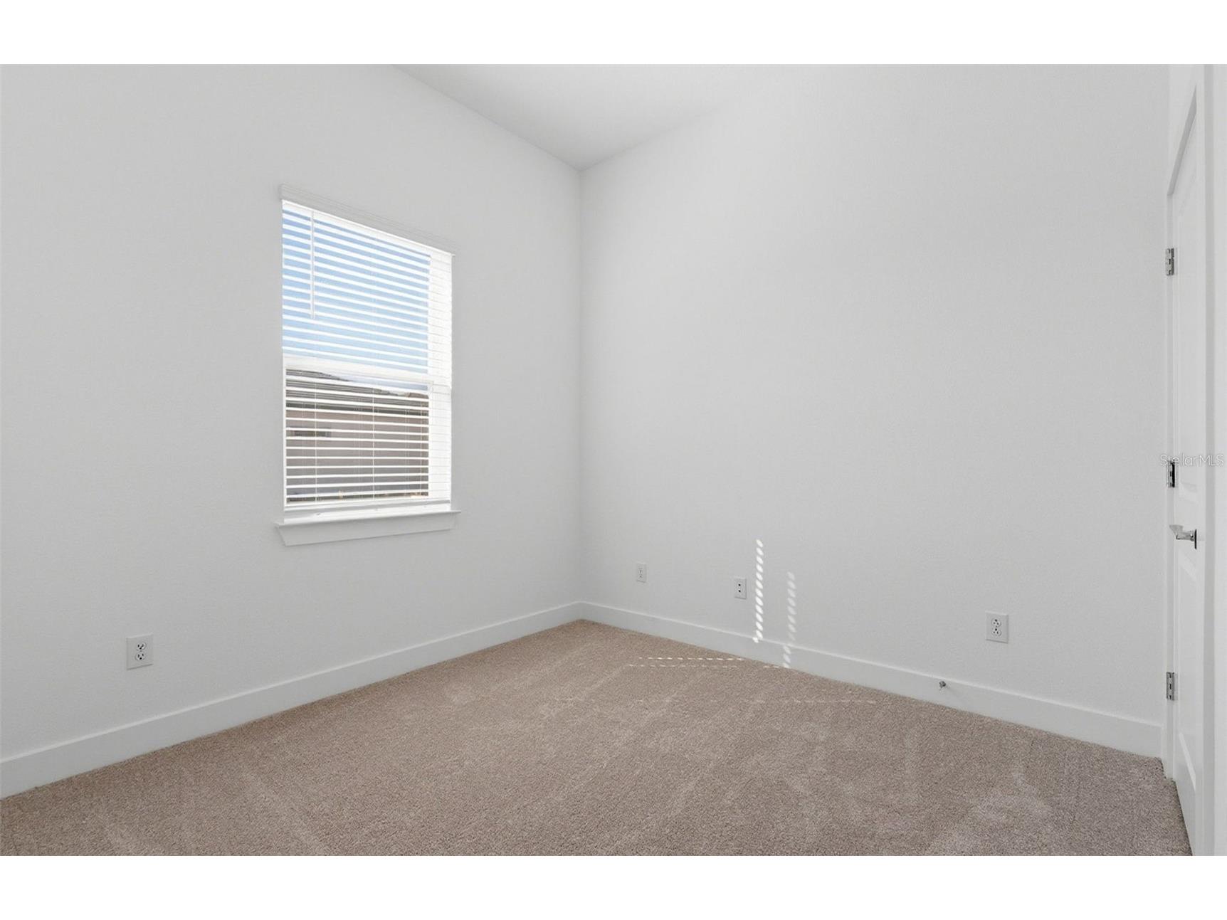 1703 Valier Point Zephyrhills FL 33541 TB8454167 image14