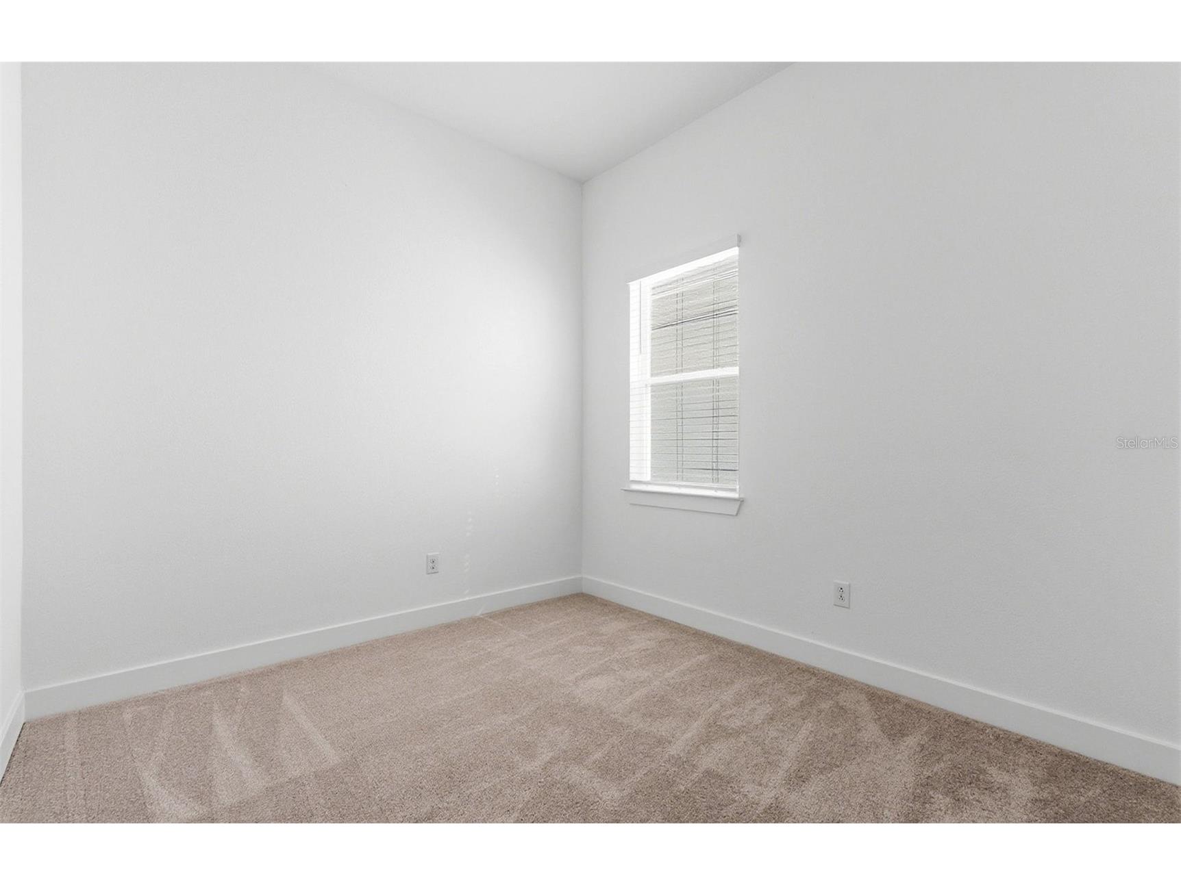 1703 Valier Point Zephyrhills FL 33541 TB8454167 image15