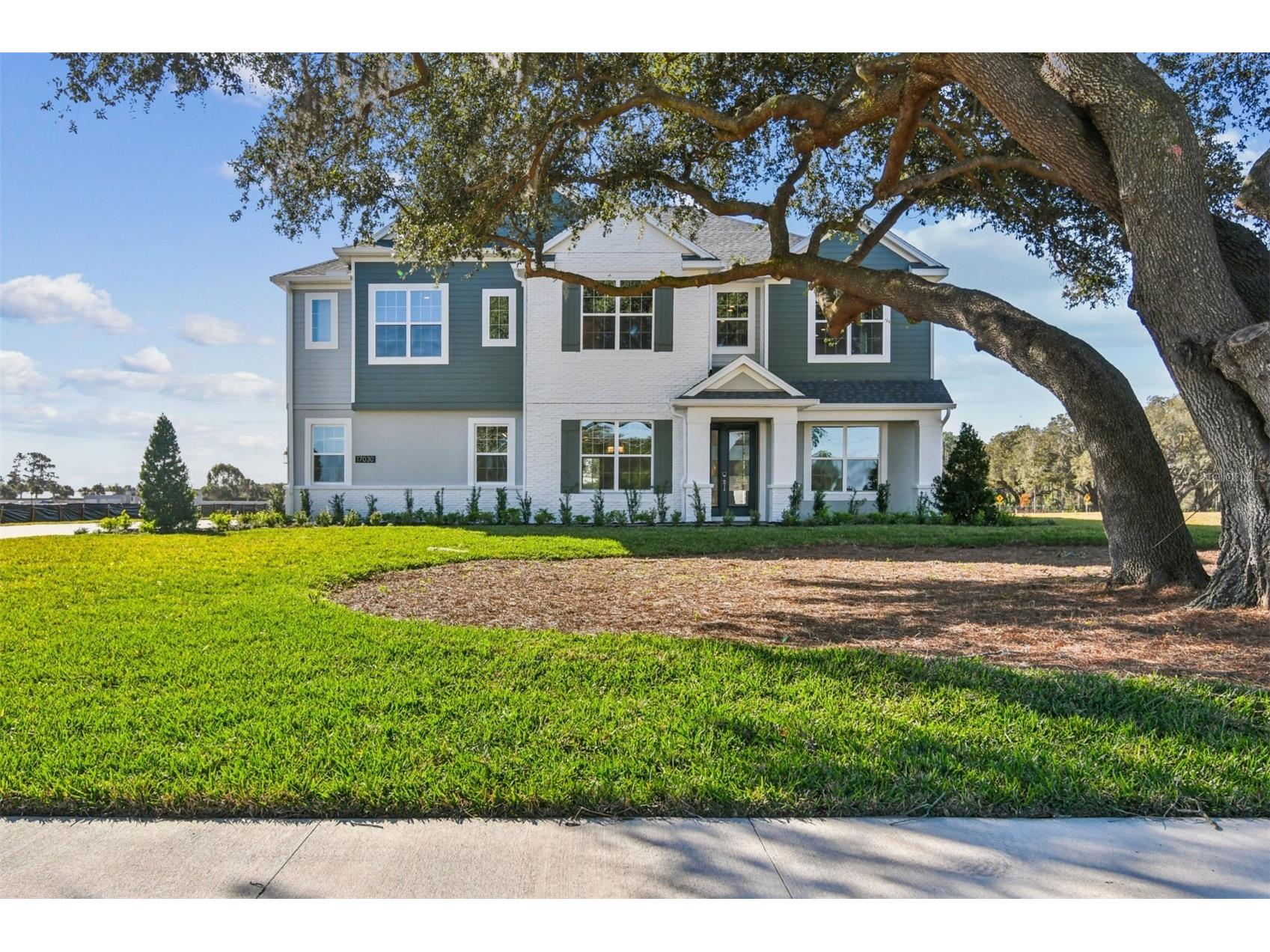 17030 Overstory Drive Orlando FL 32820 O6326393 image1