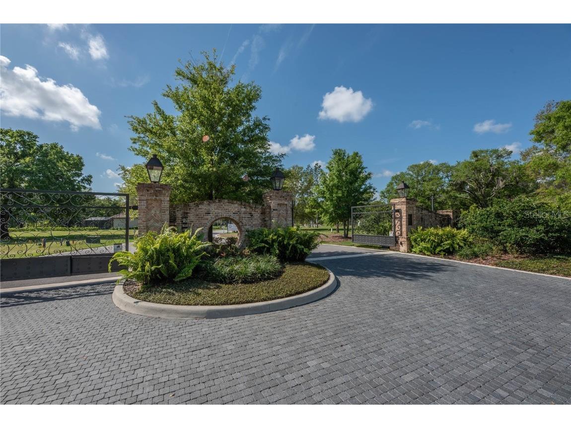 17031 Midas Lane Lutz FL 33549 U8189388 image1