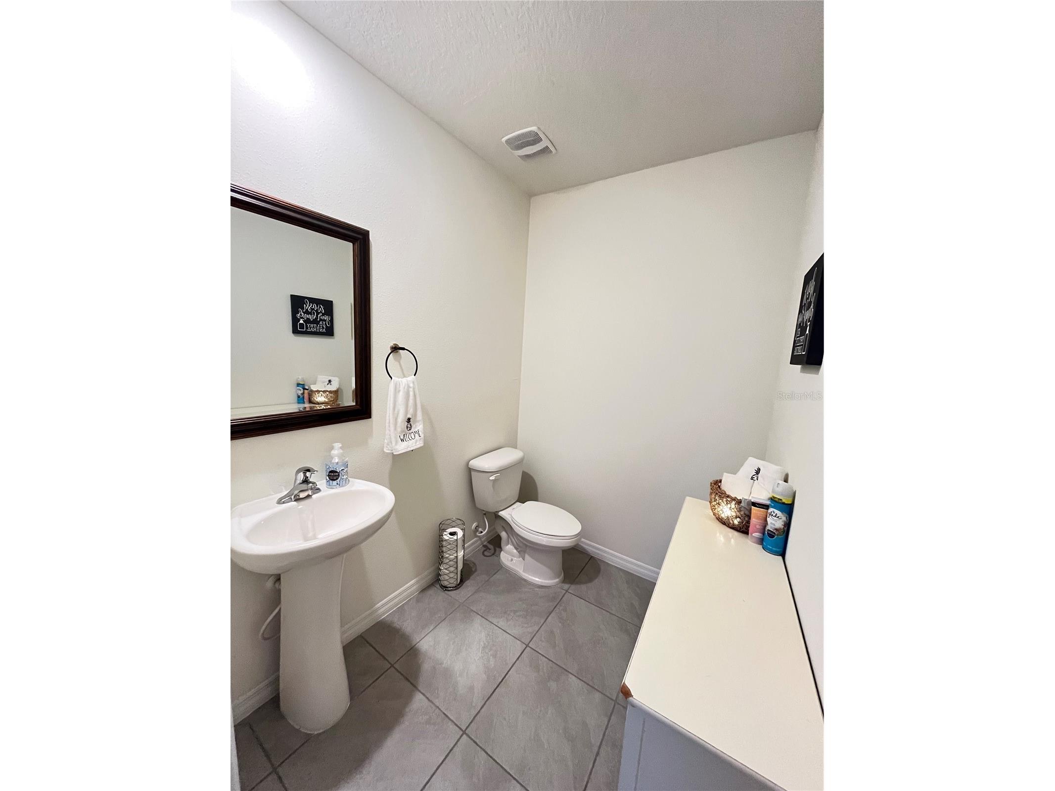 17032 Oval Rum Drive Wimauma FL 33598 TB8478620 image20