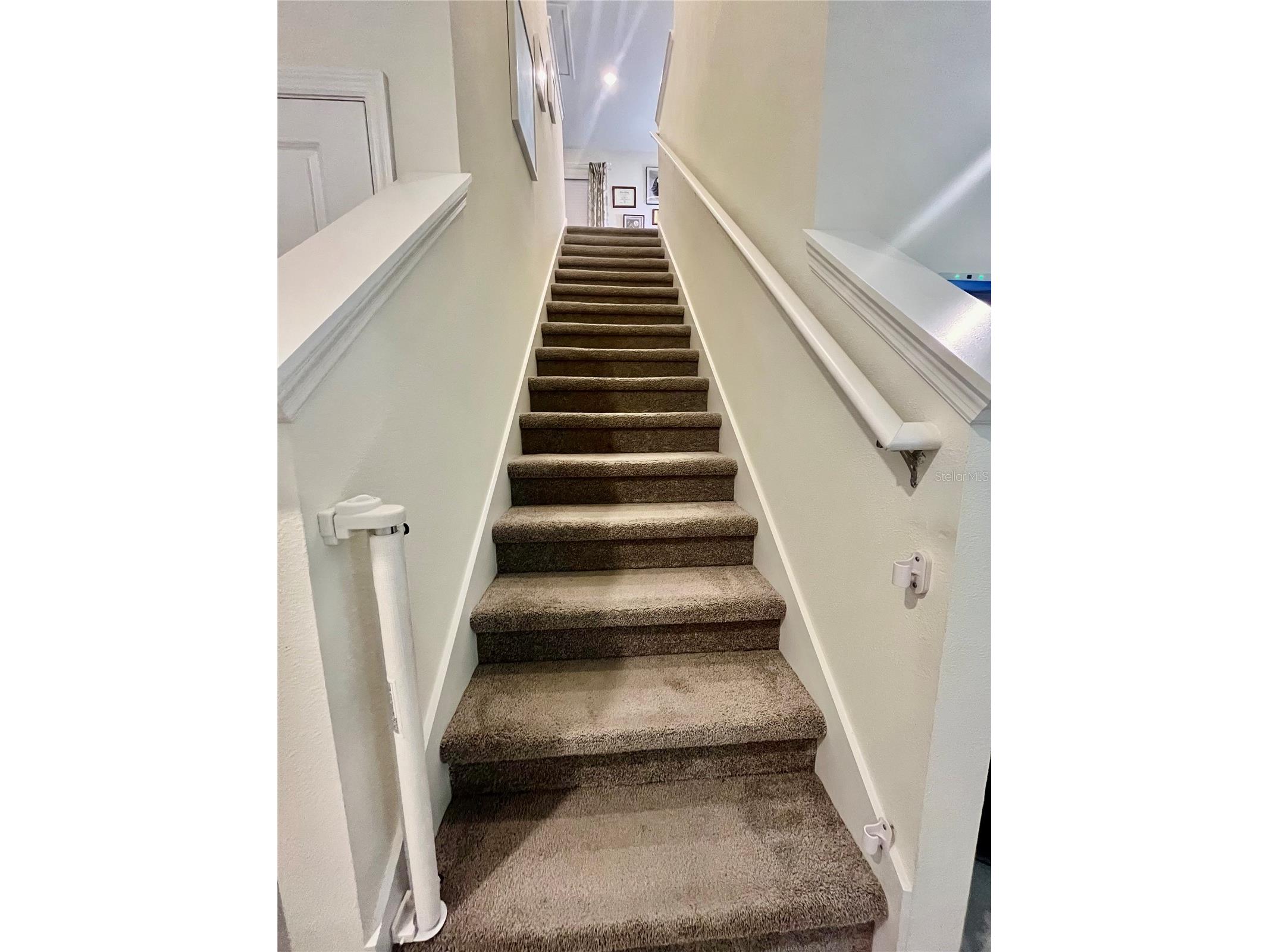 17032 Oval Rum Drive Wimauma FL 33598 TB8478620 image21