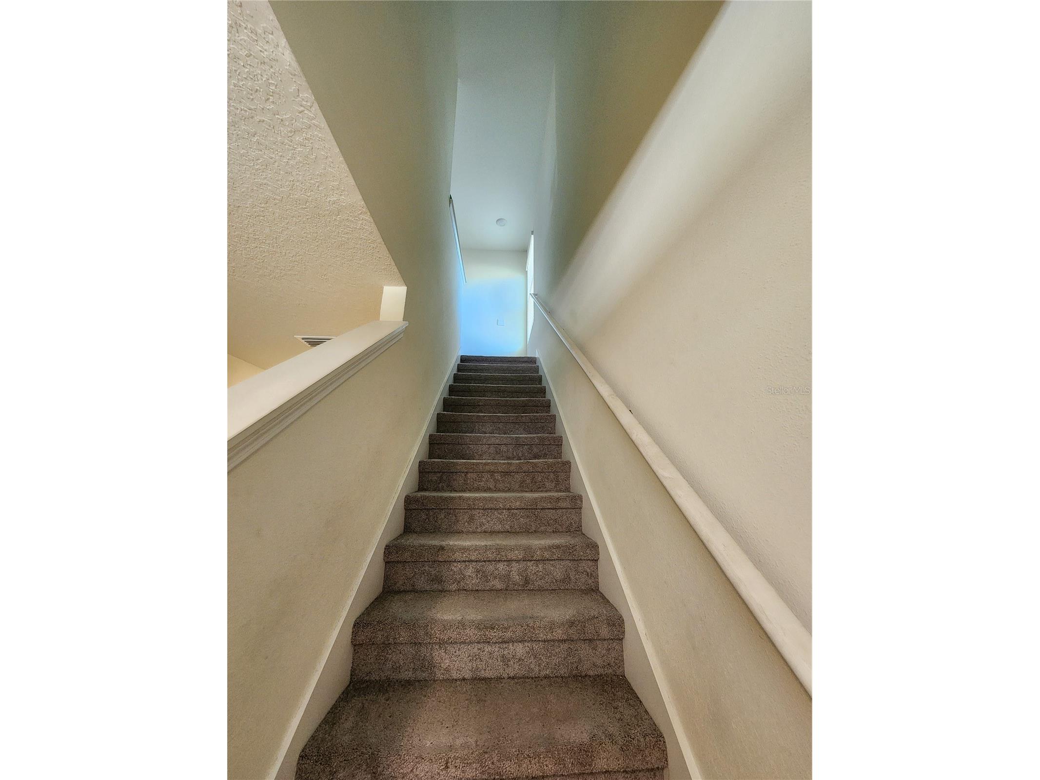 17033 Oval Rum Drive Wimauma FL 33598 TB8498364 image22