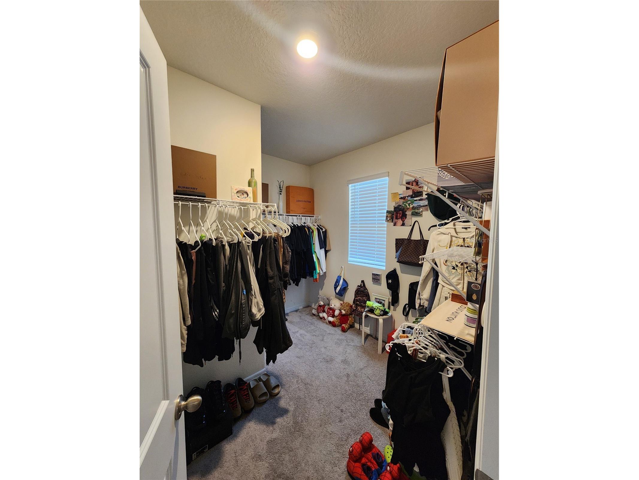 17033 Oval Rum Drive Wimauma FL 33598 TB8498364 image25