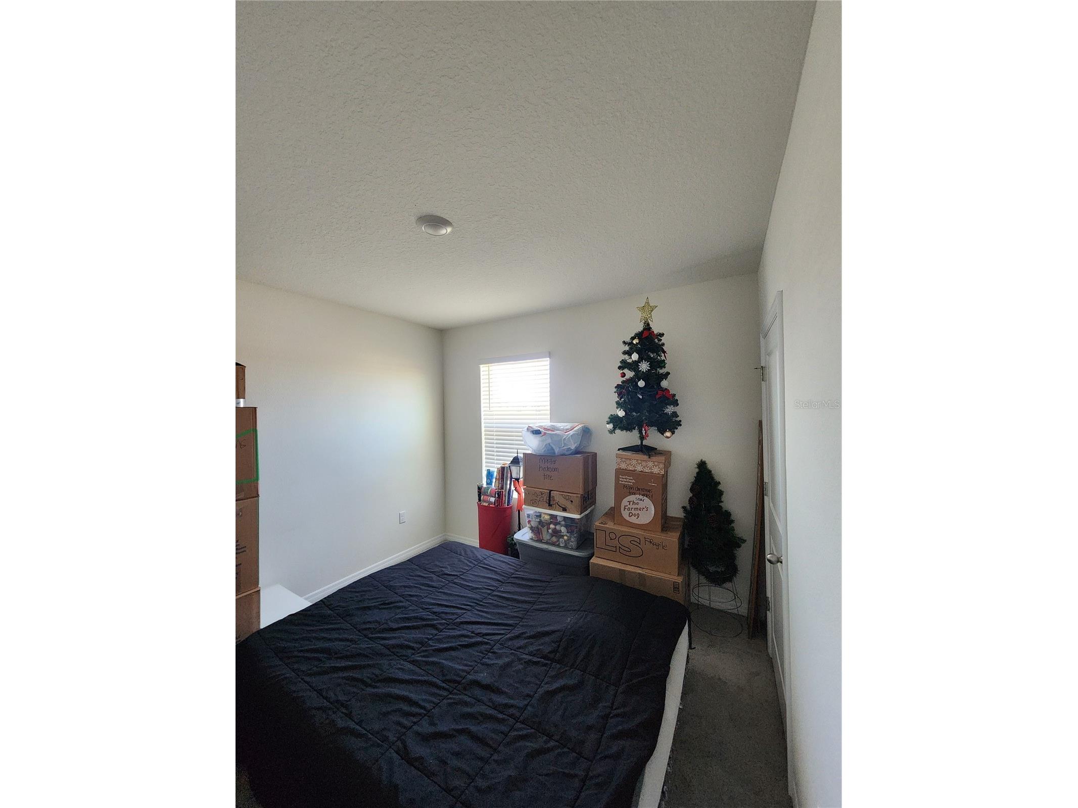17033 Oval Rum Drive Wimauma FL 33598 TB8498364 image33