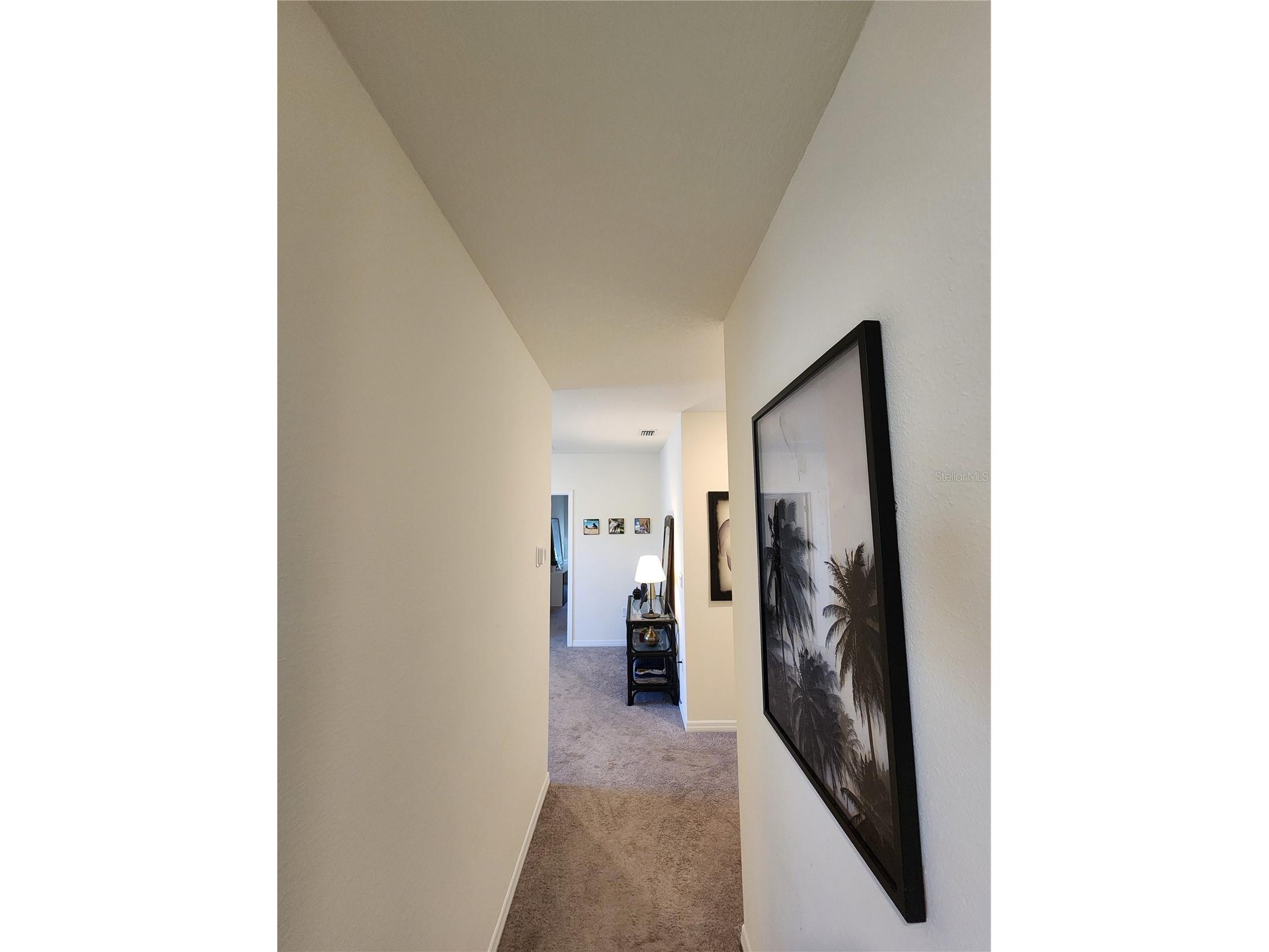 17033 Oval Rum Drive Wimauma FL 33598 TB8498364 image38