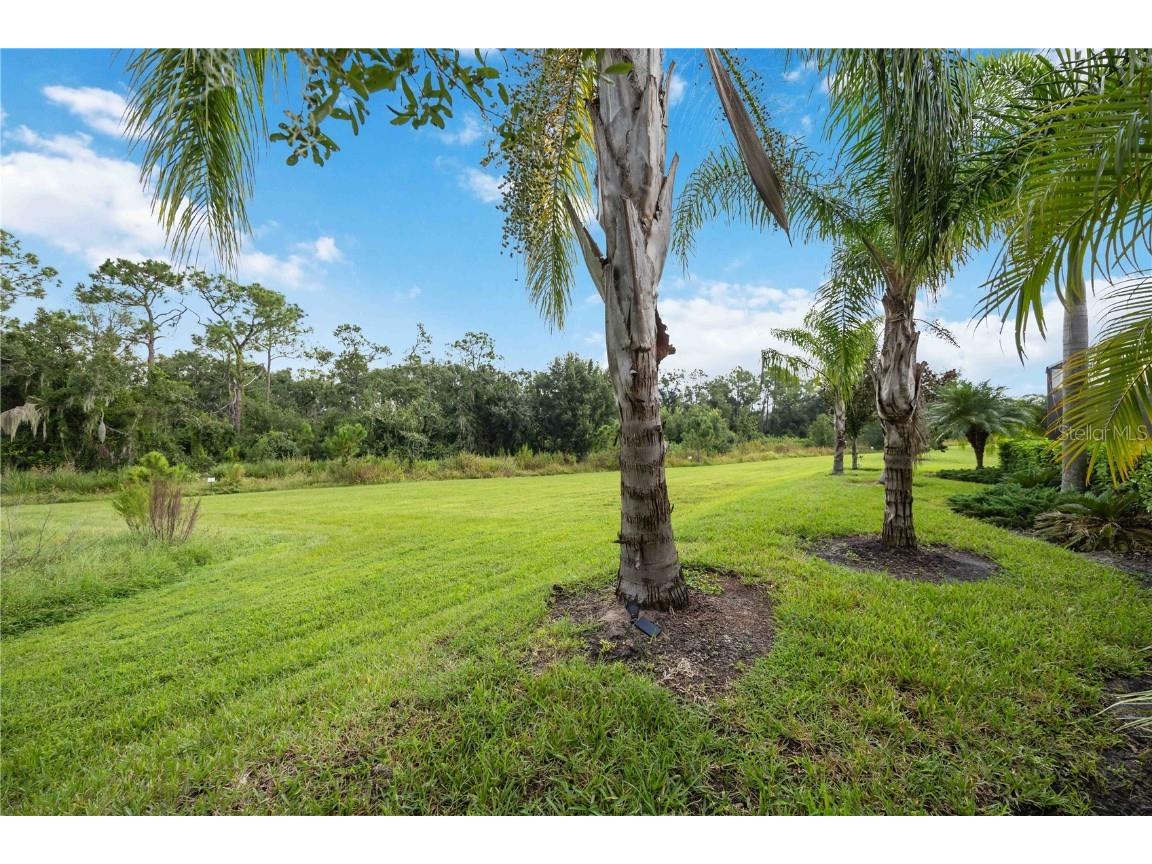 17033 Polo Trail Bradenton FL 34211 A4662794 image51