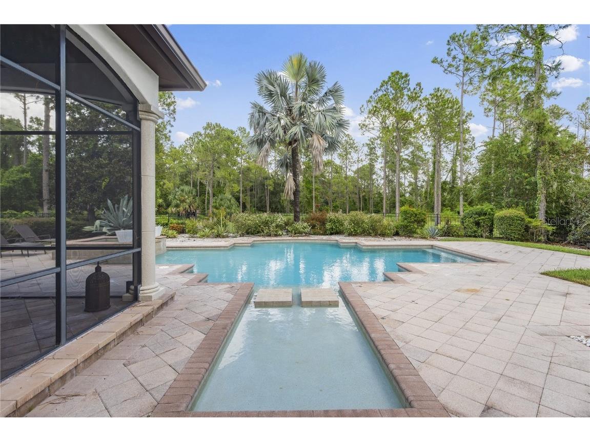 17034 Medici Way Montverde FL 34756 O6342898 image39