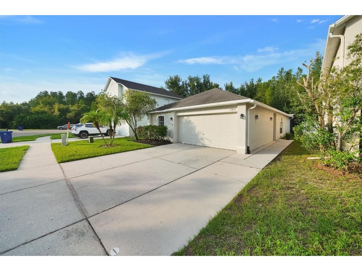 17034 Ongar Court Land O Lakes FL 34638 TB8410794 image2