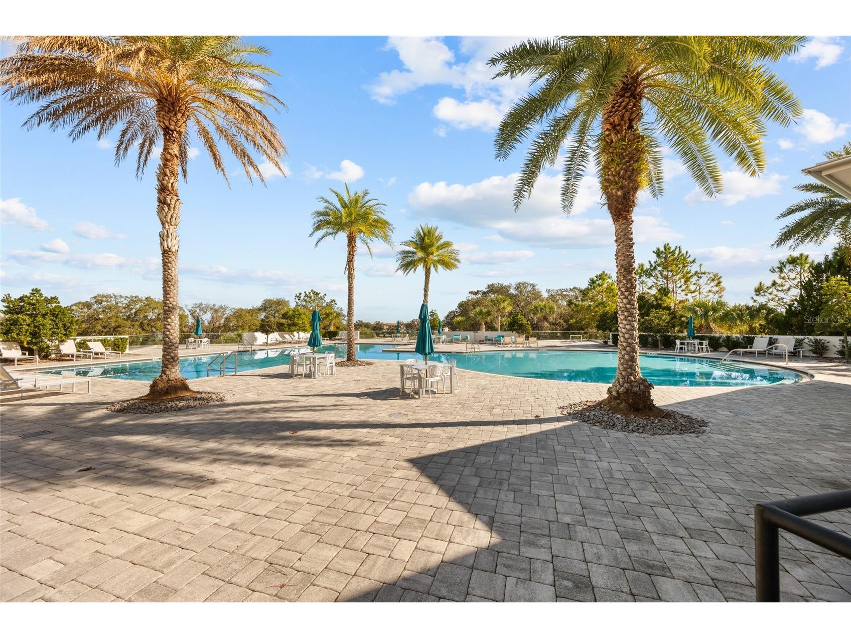 17035 Harbor Oak Parkway Winter Garden FL 34787 O6411409 image39