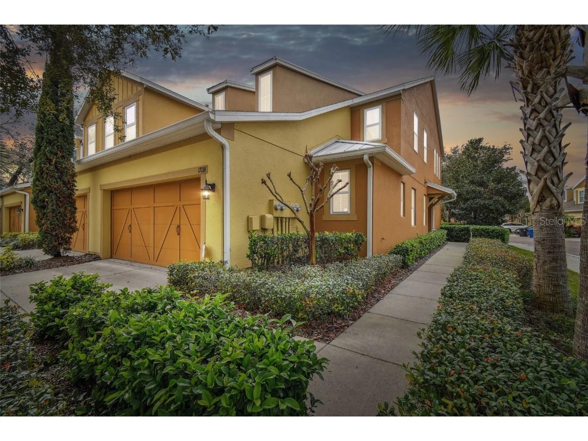 17036 Vilesta Drive Lutz FL 33548 T3496224 image1