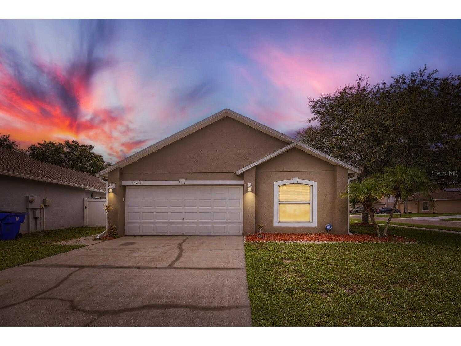 17037 Holmby Court Land O Lakes FL 34638 O6422859 image2