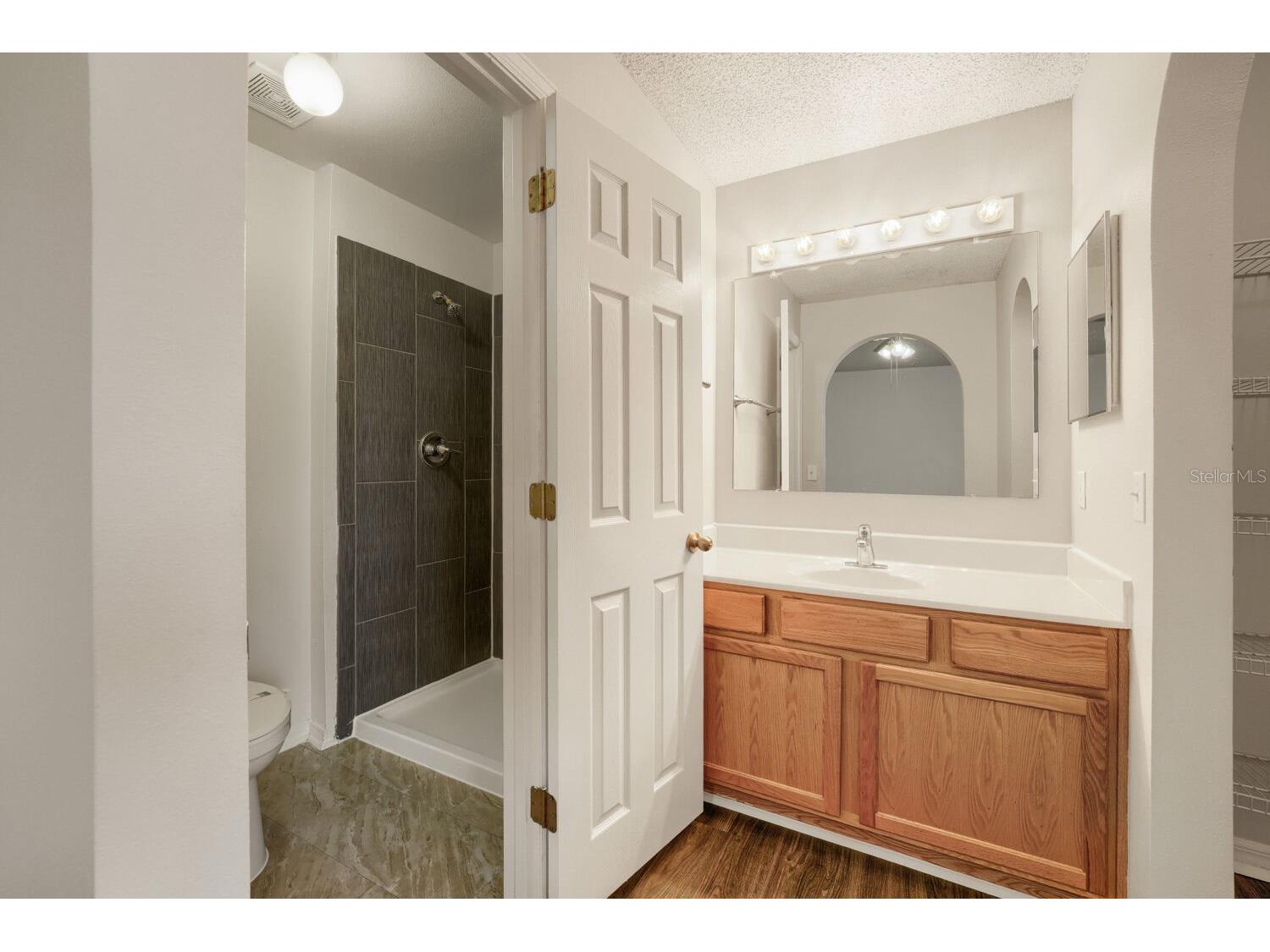 17037 Holmby Court Land O Lakes FL 34638 O6422859 image20