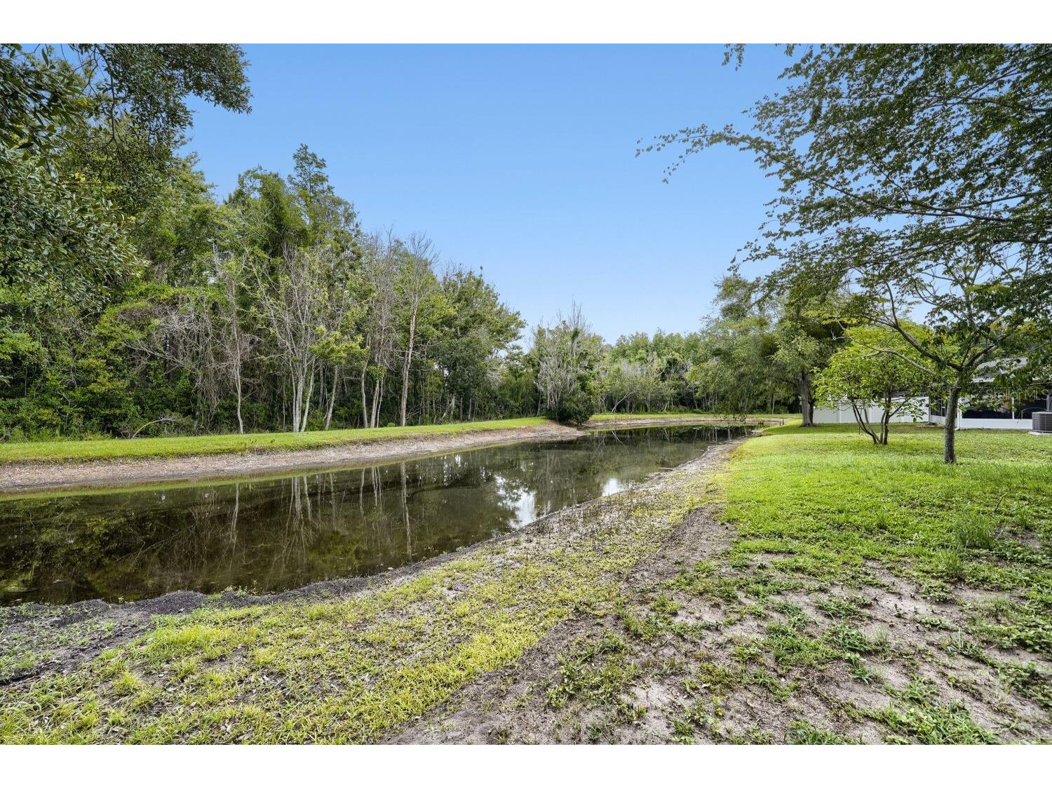 17037 Holmby Court Land O Lakes FL 34638 O6422859 image29