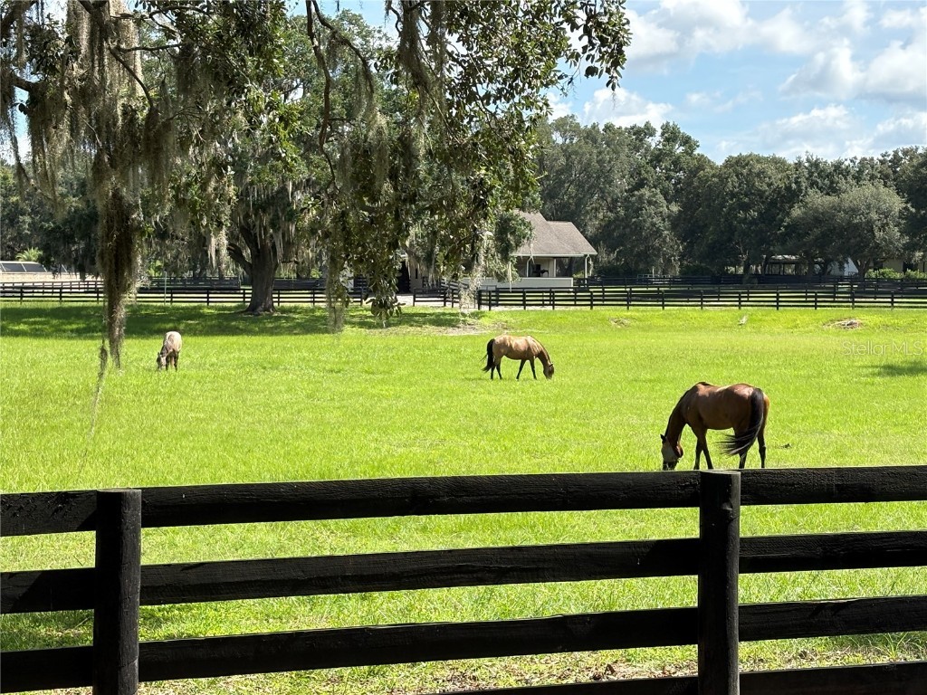 17037 SE 76th Creekside Circle The Villages FL 32162 G5098206 image3