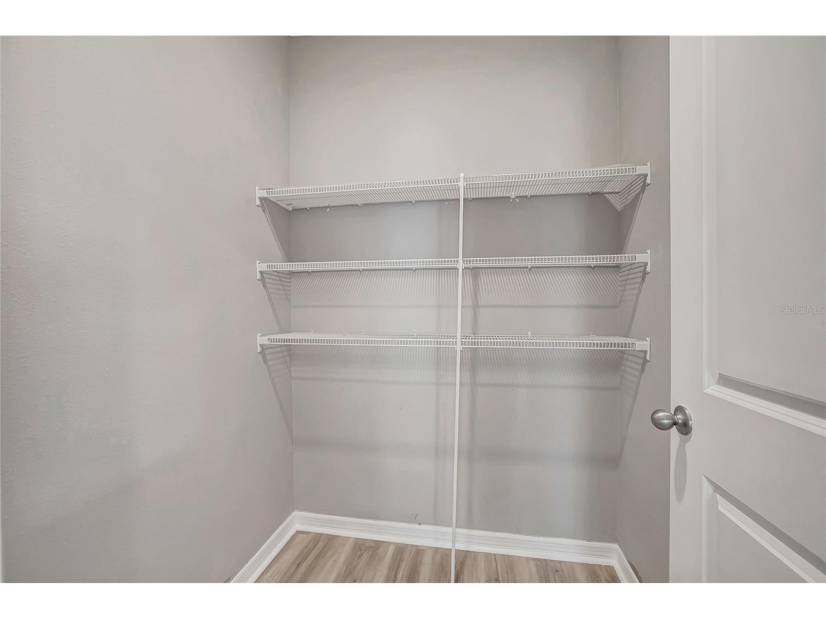 17038 Wave Tressle Place Wimauma FL 33598 TB8508563 image19
