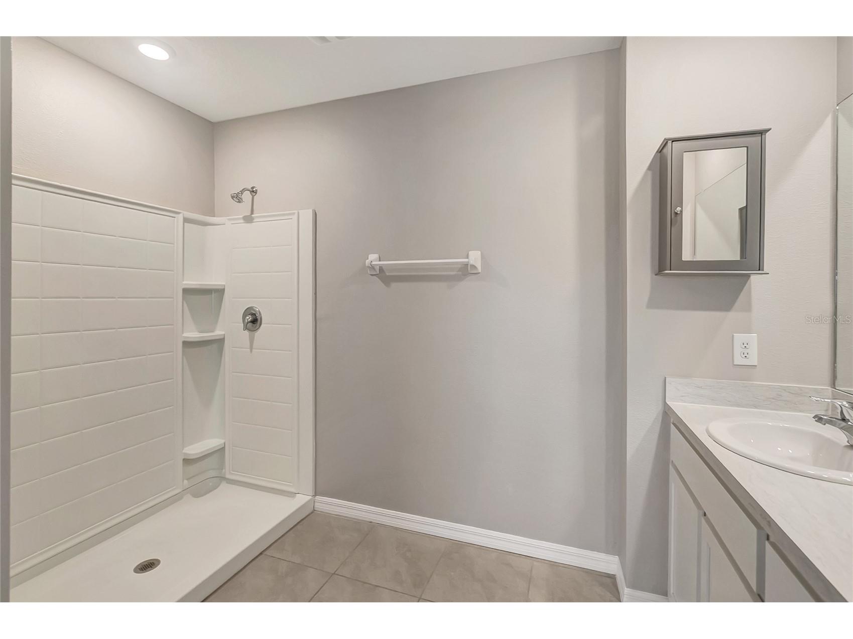 17038 Wave Tressle Place Wimauma FL 33598 TB8508563 image33