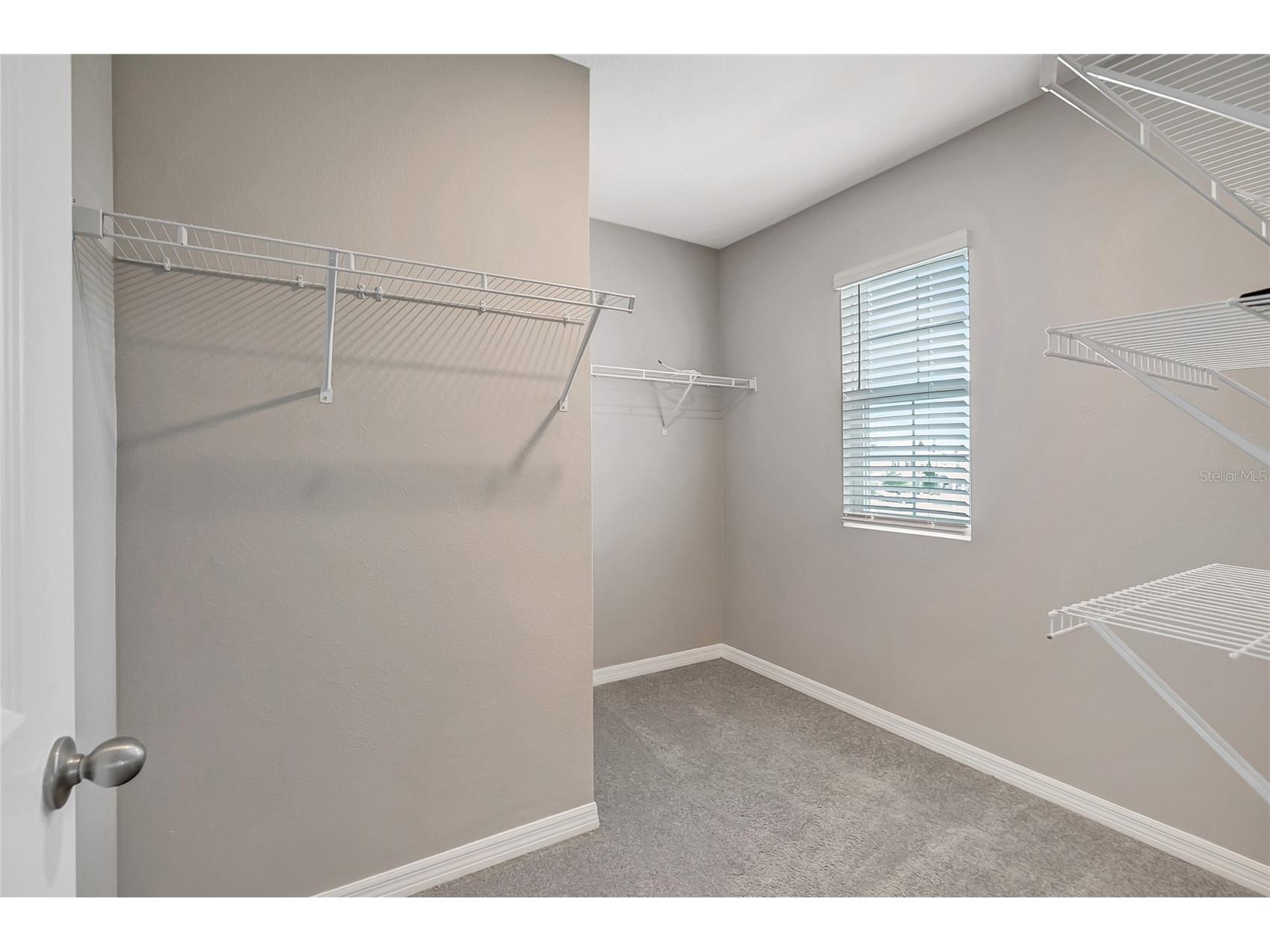 17038 Wave Tressle Place Wimauma FL 33598 TB8508563 image35