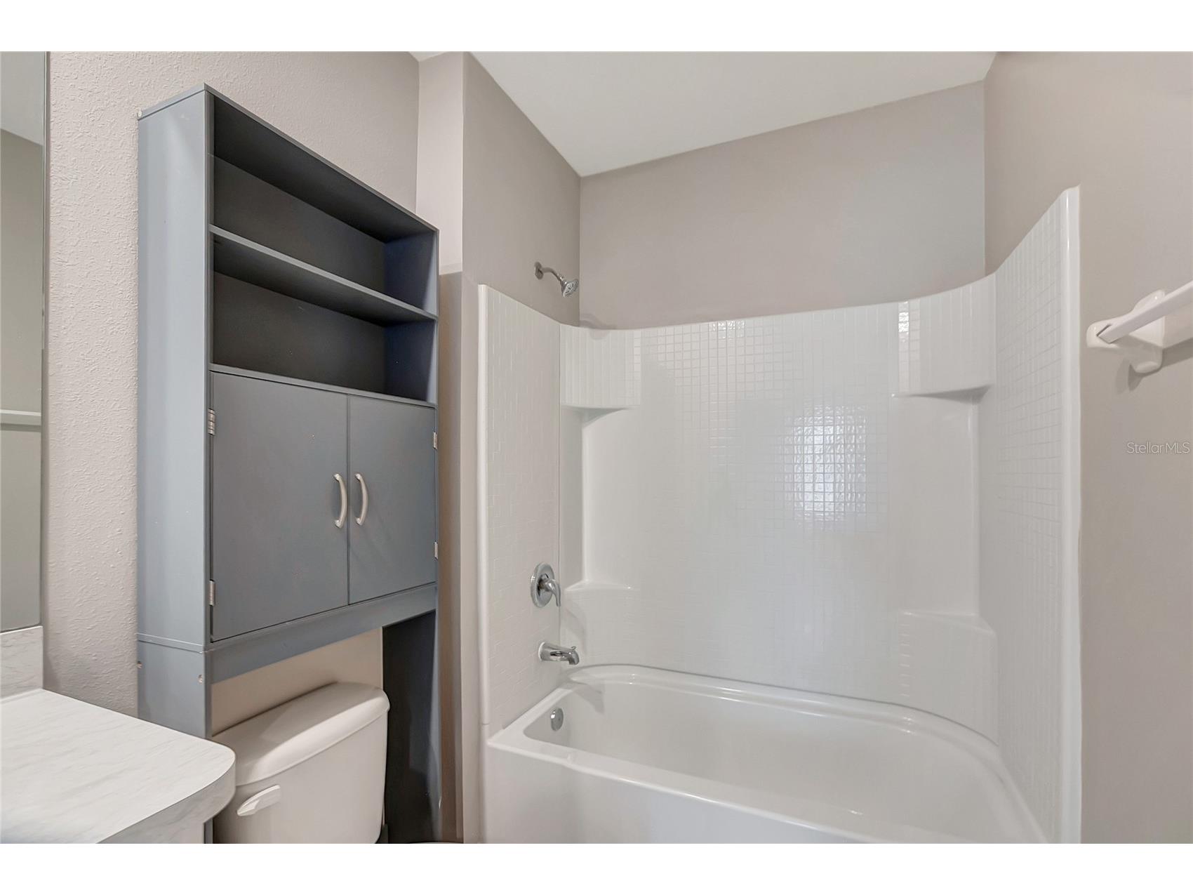 17038 Wave Tressle Place Wimauma FL 33598 TB8508563 image41