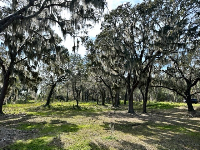 17039 Crete Way Montverde FL 34756 - LAKE APOPKA G5061479 image1