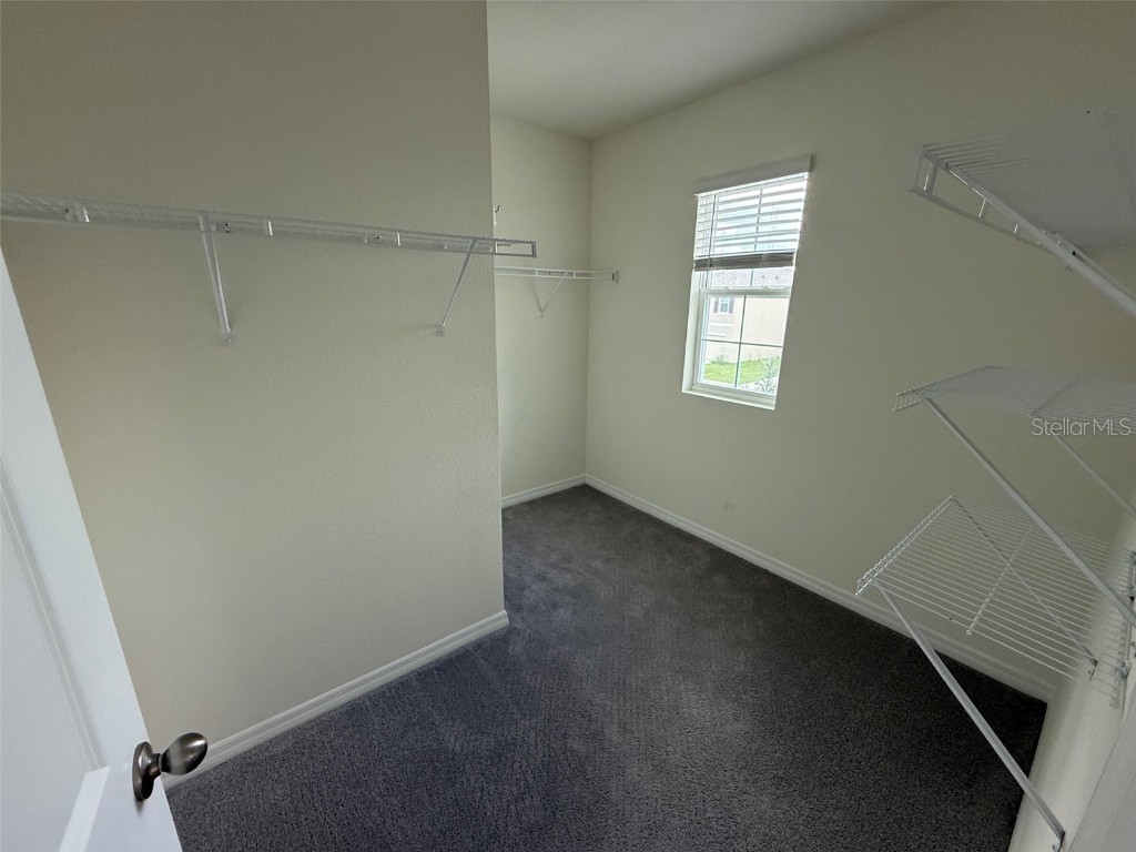 17039 Oval Rum Drive Wimauma FL 33598 W7879551 image14