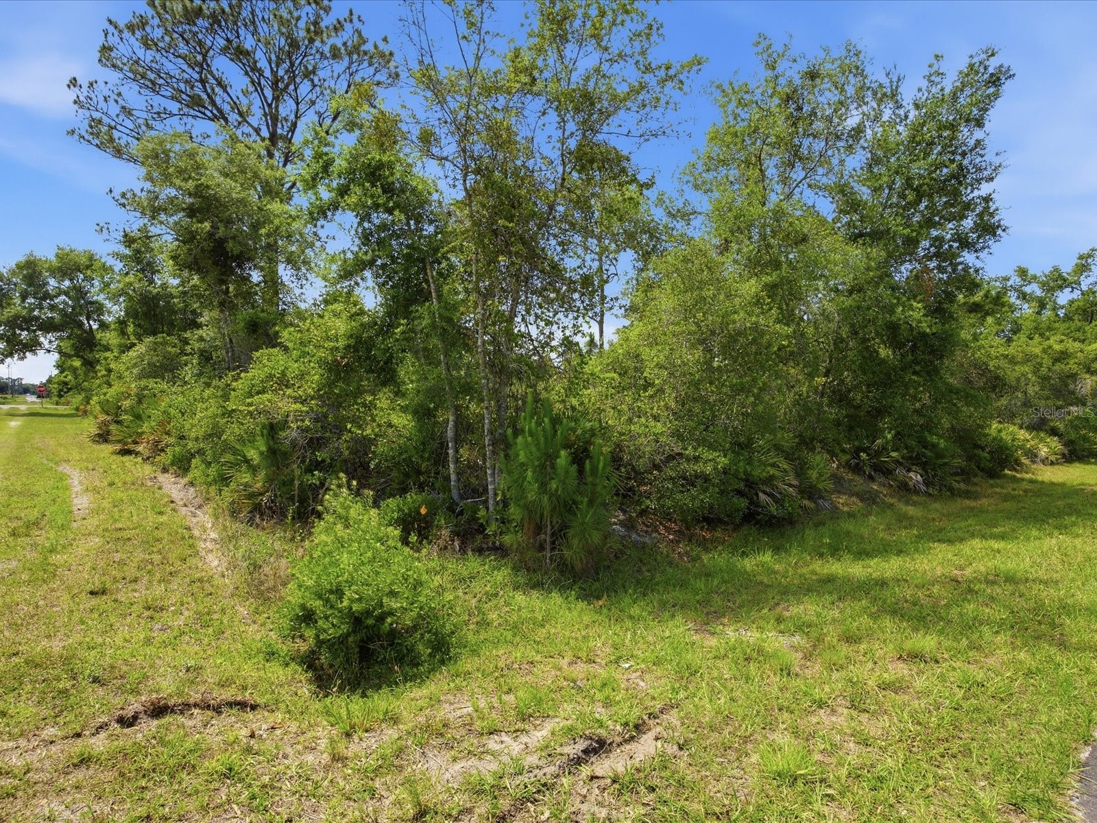 1704 7th Avenue Deland FL 32724 O6406113 image5