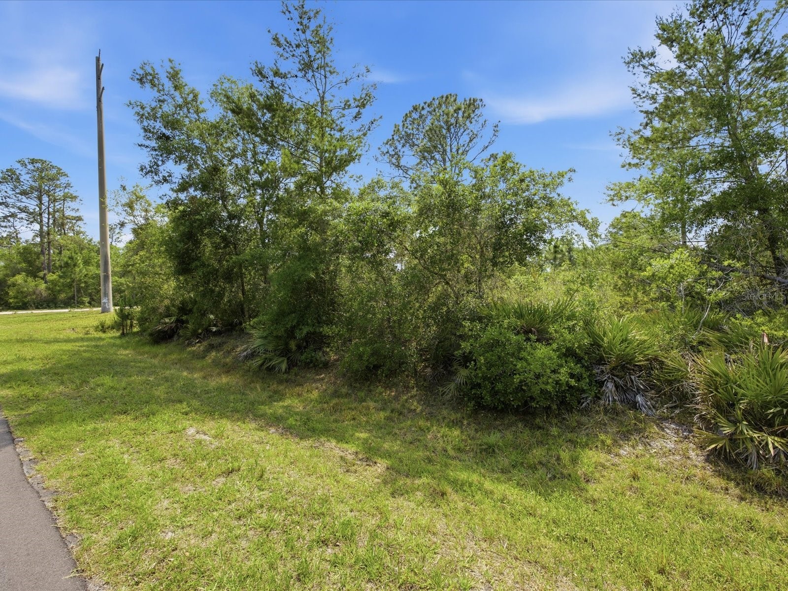 1704 7th Avenue Deland FL 32724 O6406113 image6