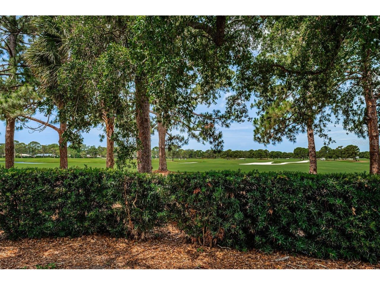 1704 Cypress Avenue Belleair FL 33756 TB8490017 image48