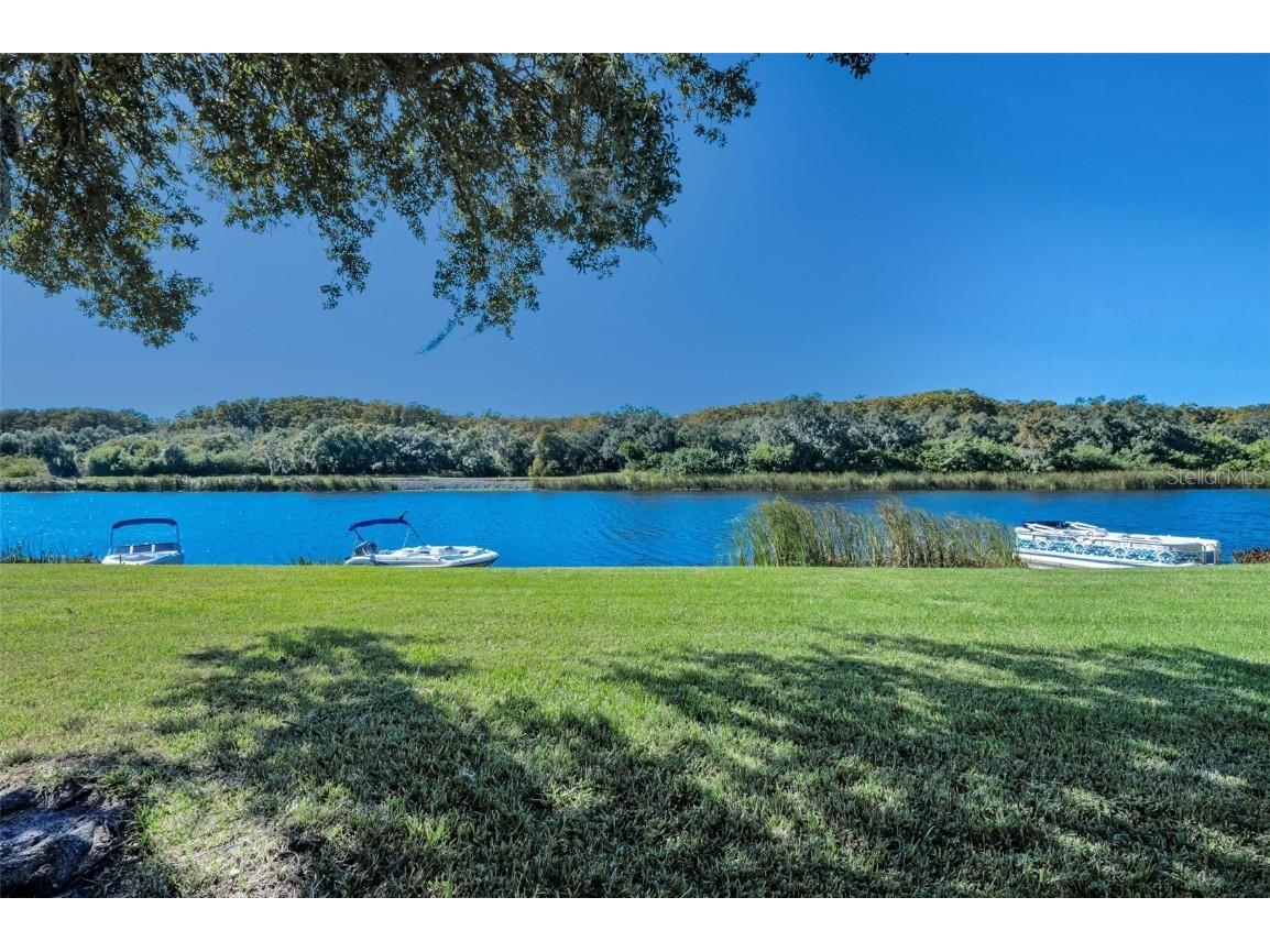 1704 Lago Vista Boulevard Palm Harbor FL 34685 - LAKE TARPON TB8448718 image52