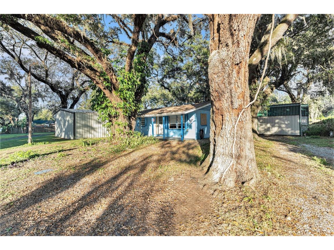 1704 N Bargo Street Plant City FL 33563 TB8323178 image1